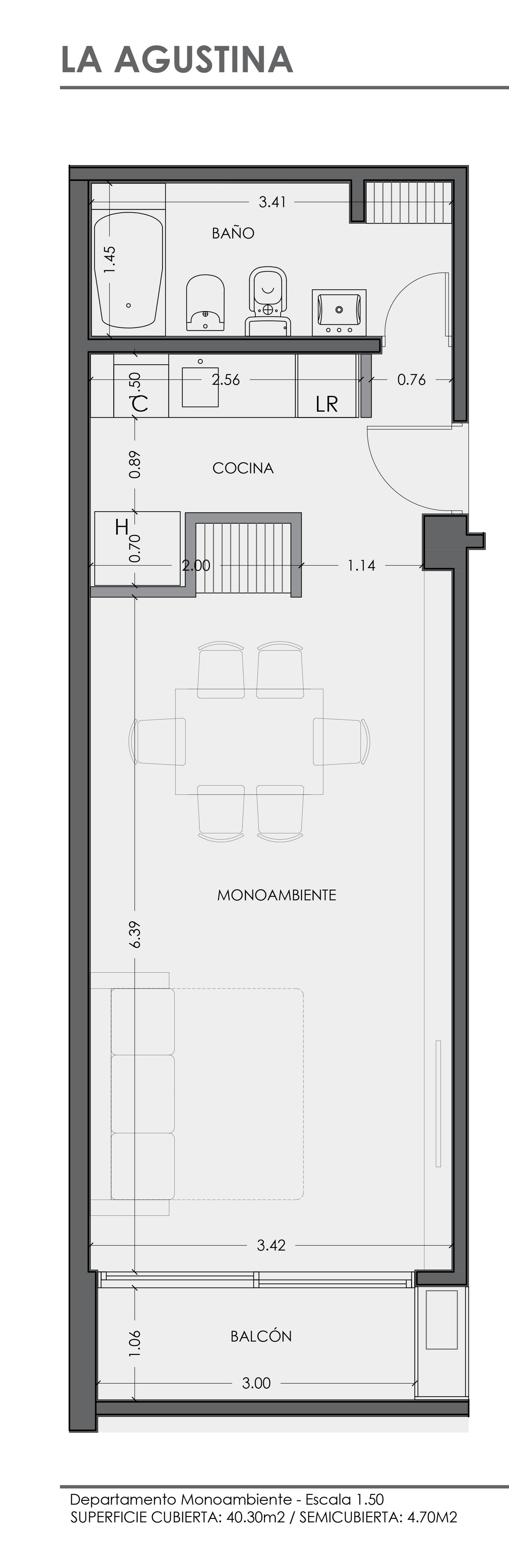 MONOAMBIENTE | LA AGUSTINA NEUQUEN - 9