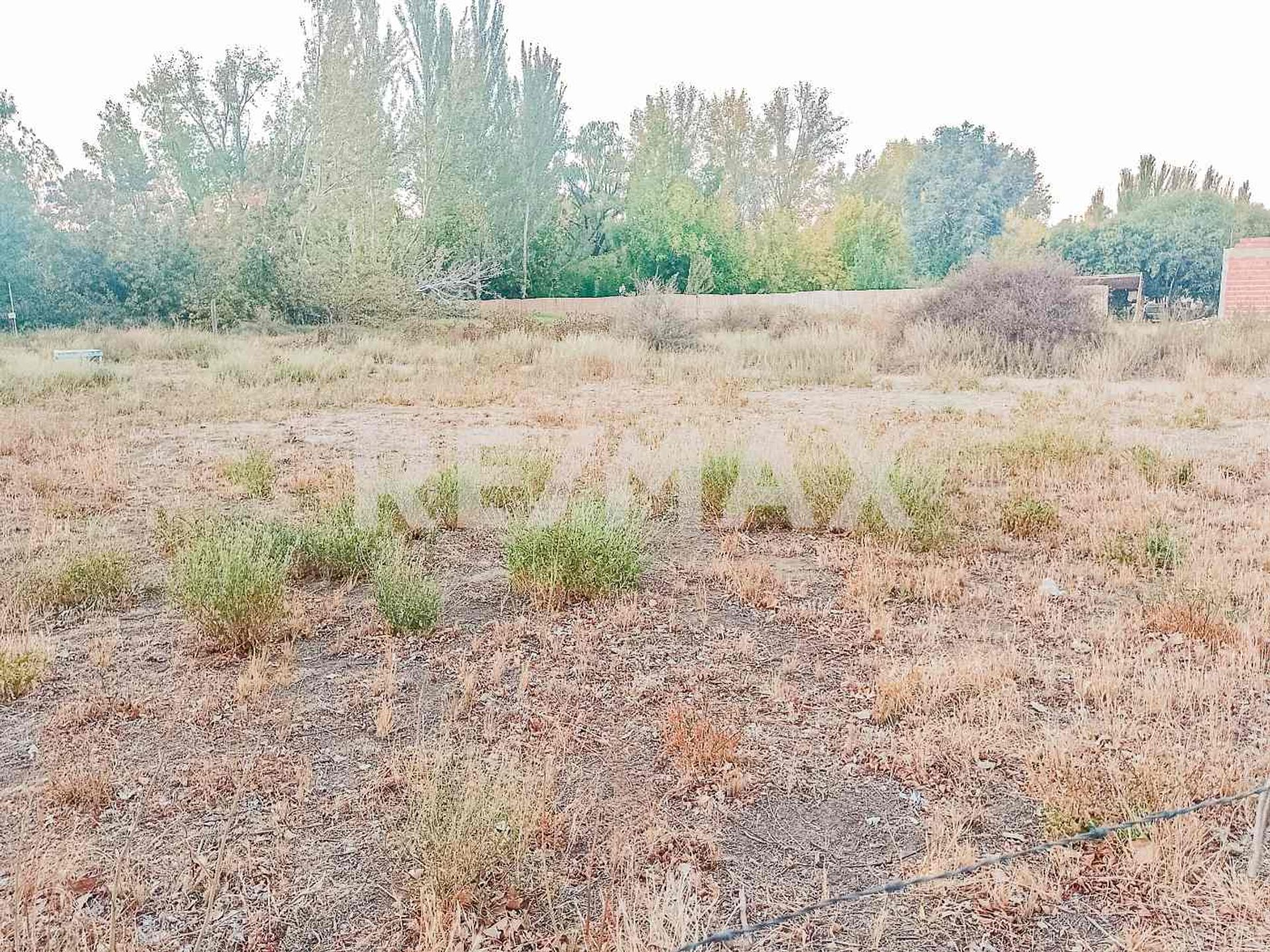 TERRENO EN VENTA - 1