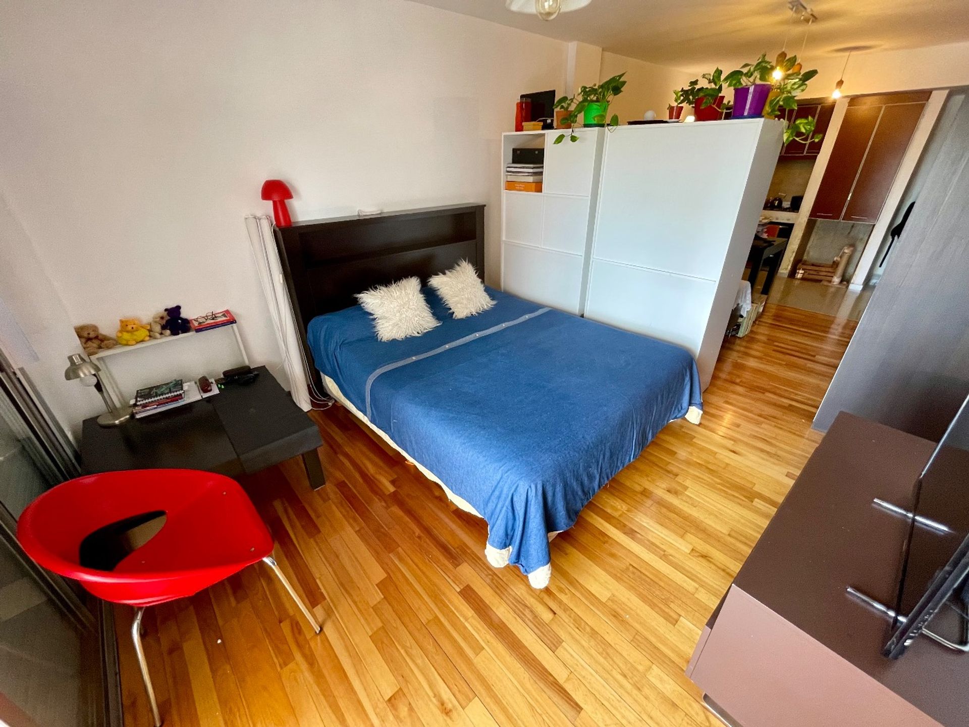 Venta Depto Monoambiente con Balcón V. Pueyrredón - 5