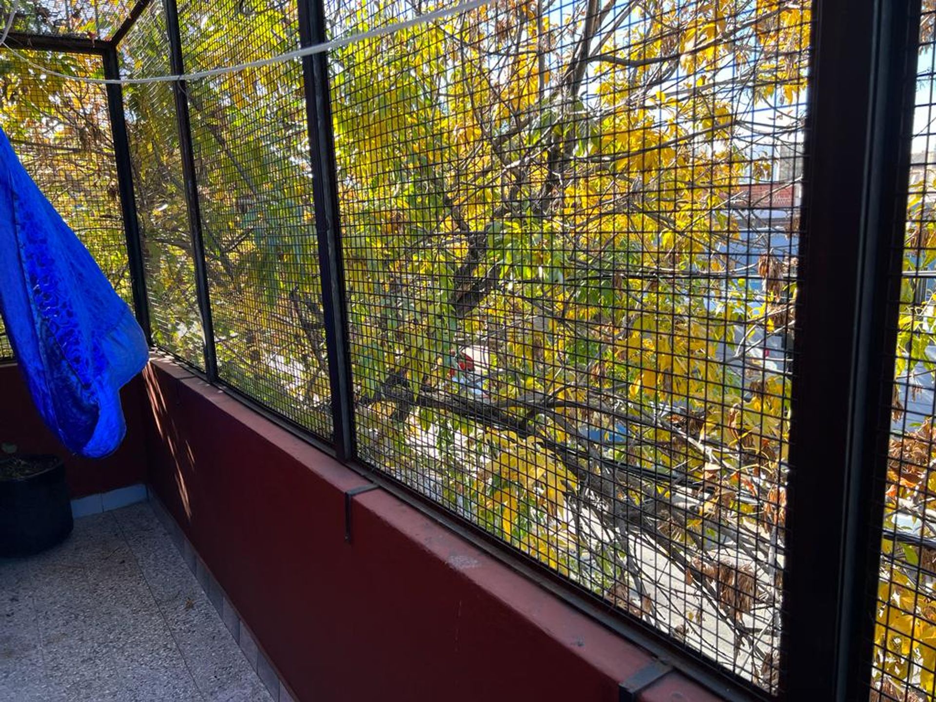 VENTA PH 3 AMB. de 65m² "BARRACAS""OPORTUNIDAD" - 10
