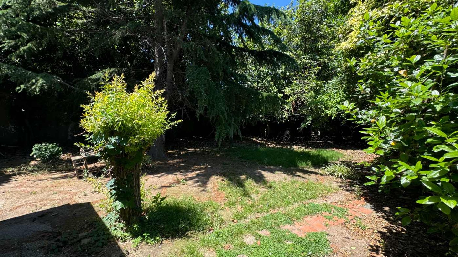 VENTA DOBLE LOTE 20x 40 BERNAL CENTRO - 6