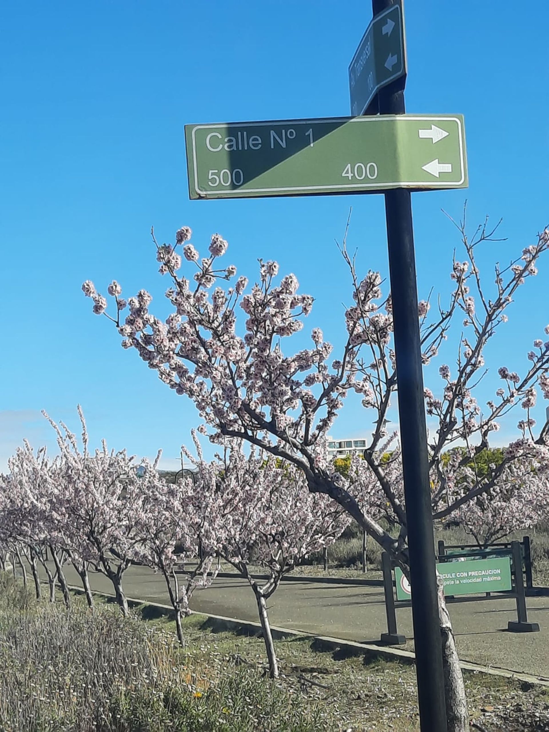 VENTA TERRENO 1285 m2 FRENTE AL MAR LA HERRADURA - 3