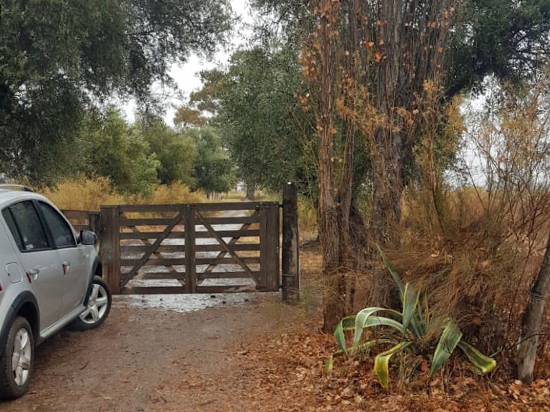 Casa Quinta en Venta en San Rafael, Mendoza
