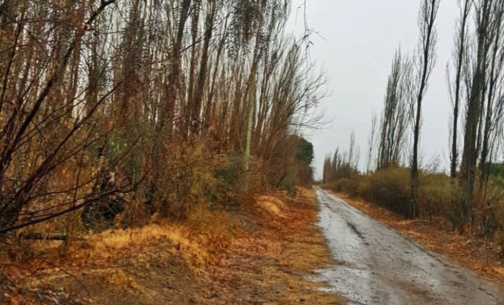 Casa Quinta en Venta en San Rafael, Mendoza