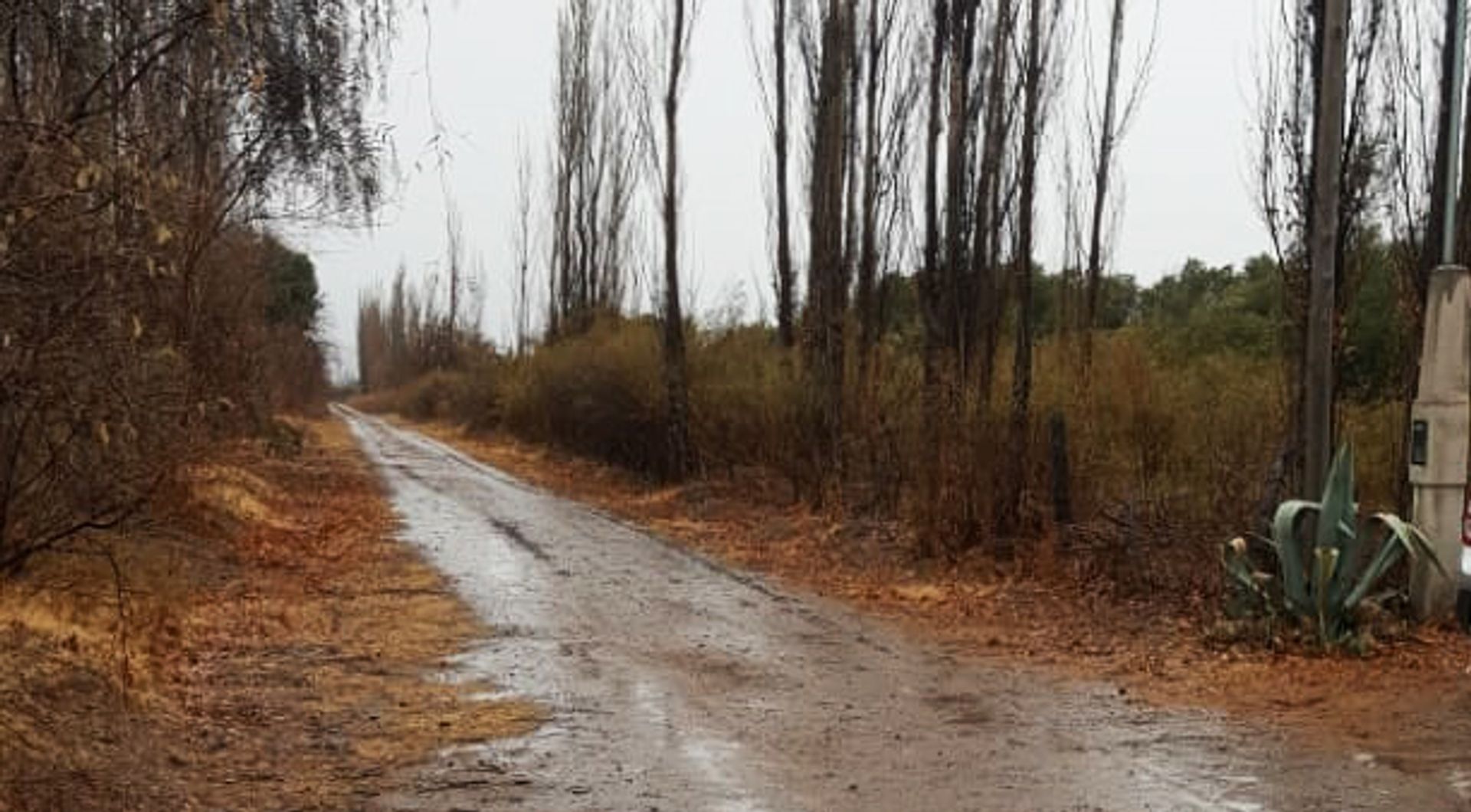 Casa Quinta en Venta en San Rafael, Mendoza