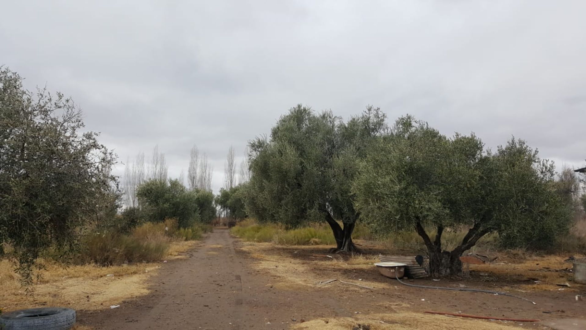 Casa Quinta en Venta en San Rafael, Mendoza