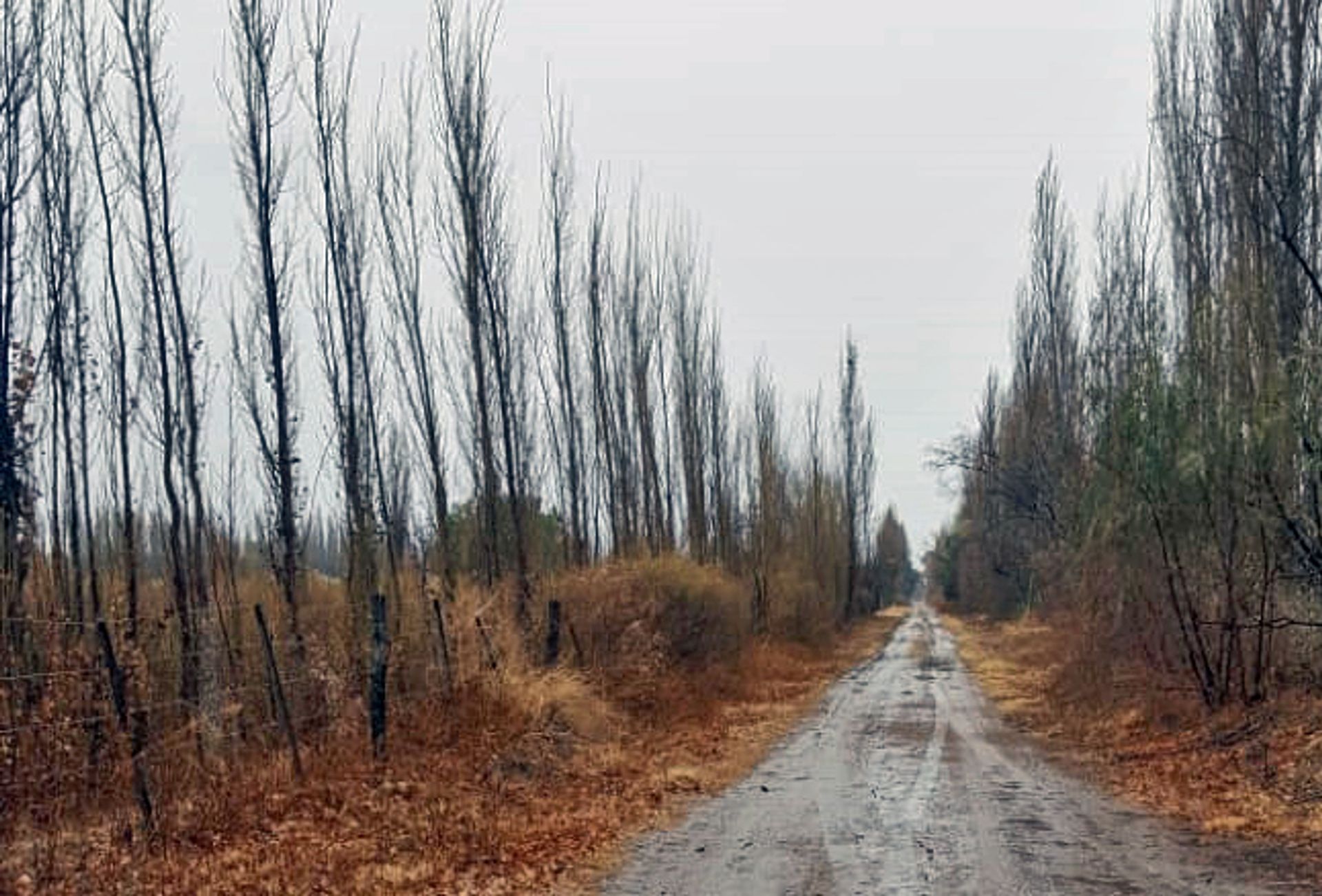 Casa Quinta en Venta en San Rafael, Mendoza