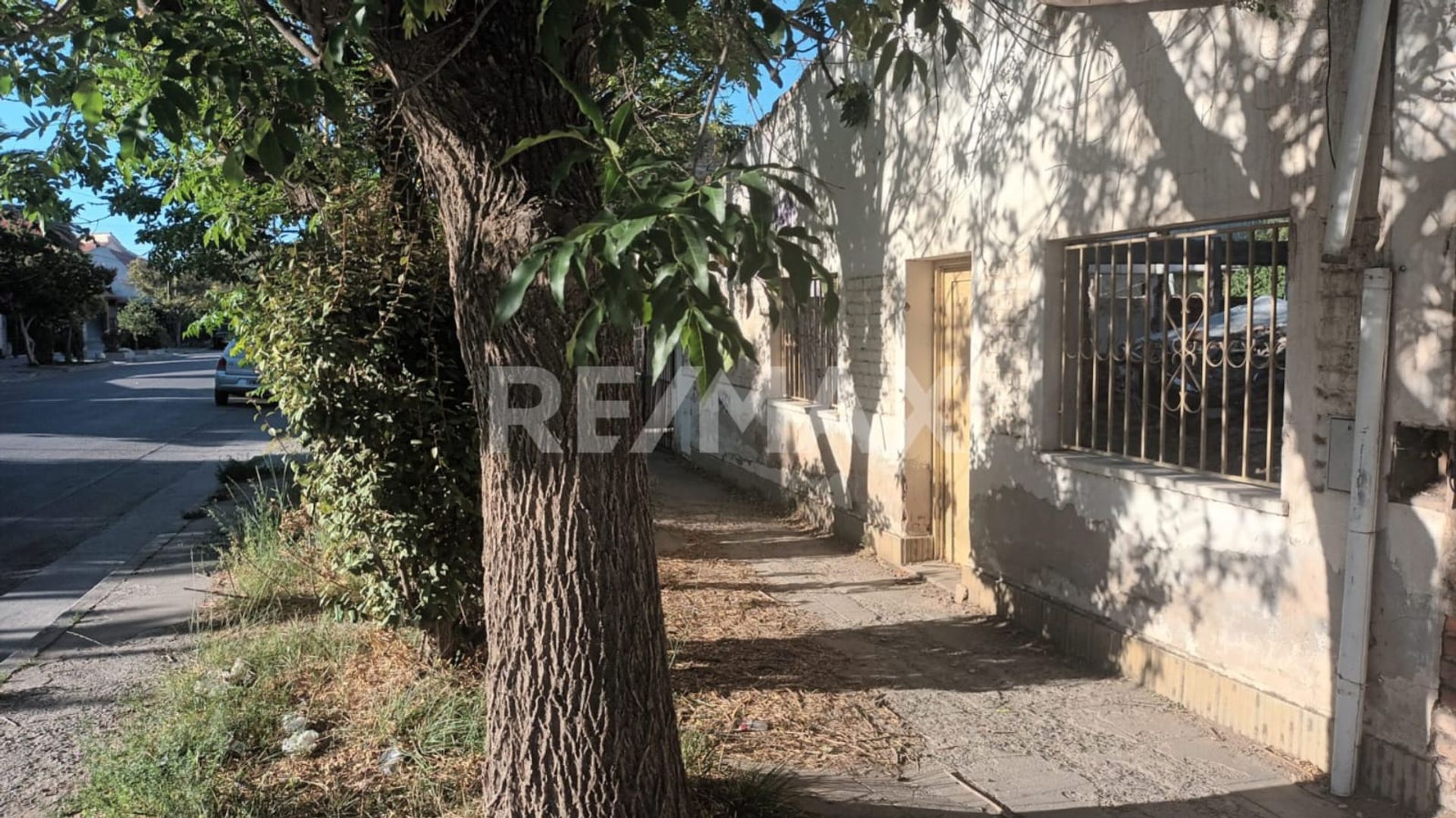 VENTA LOTE APTO DESARROLLO-CASCO VIEJO- CENTENARIO - 4