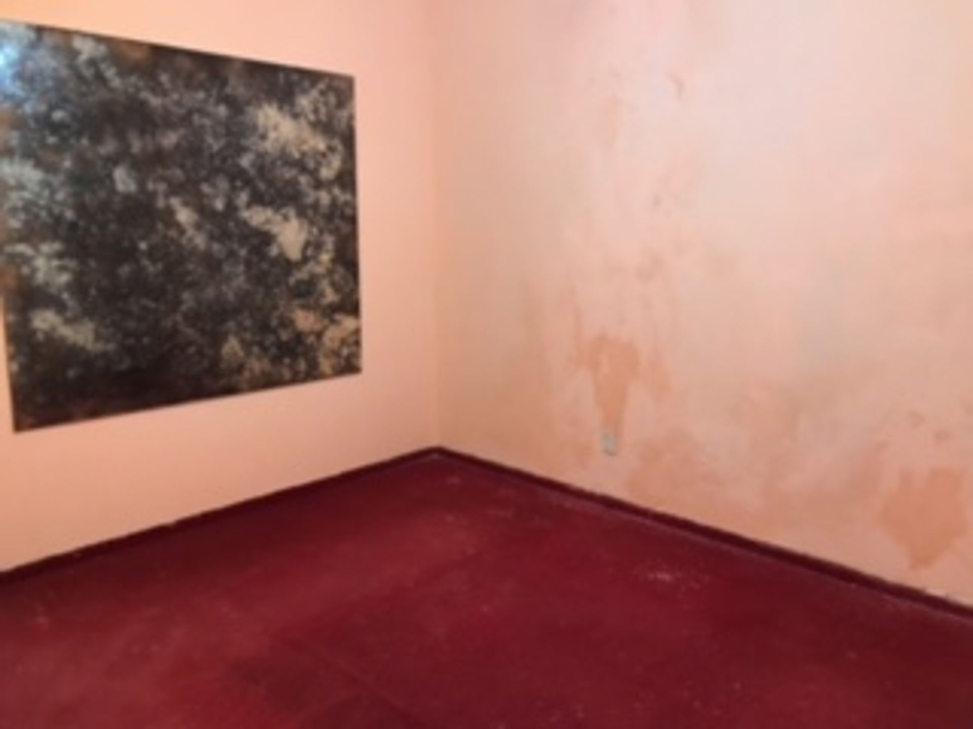VENTA DEPOSITO Y CASA DE 6 AMBIENTES EN POMPEYA - 18