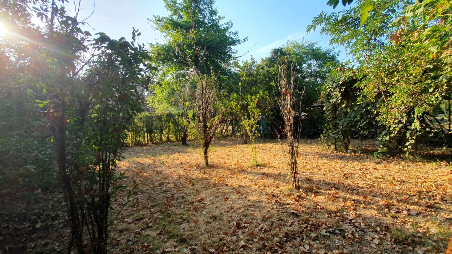 Terreno — foto 5