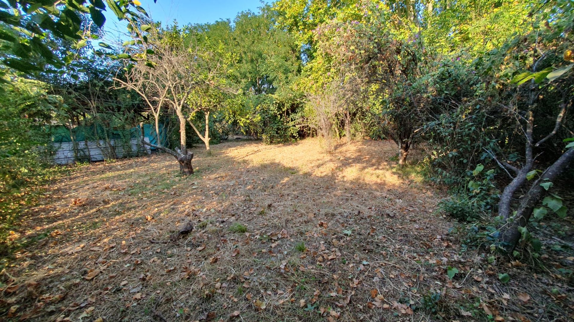 Terreno — foto 4