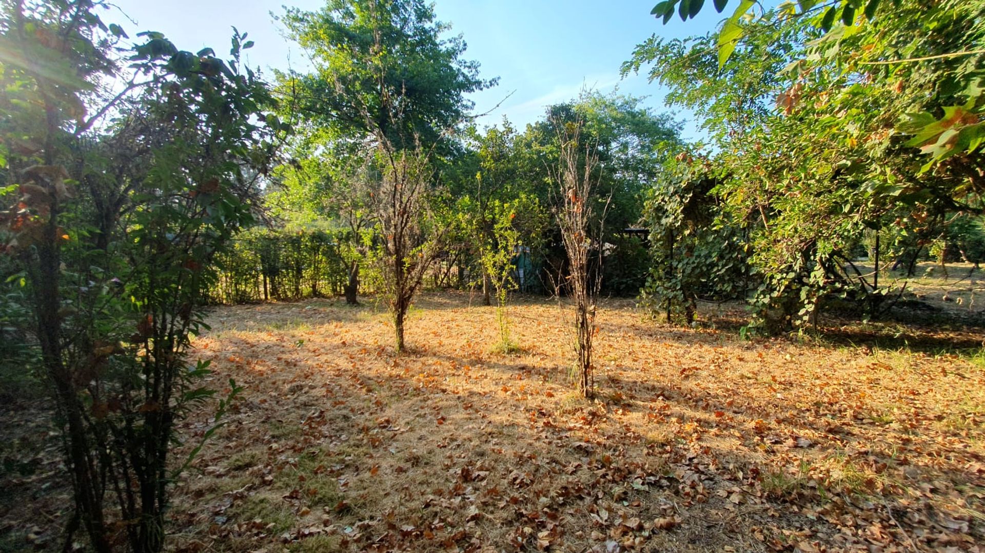 Terreno — foto 2