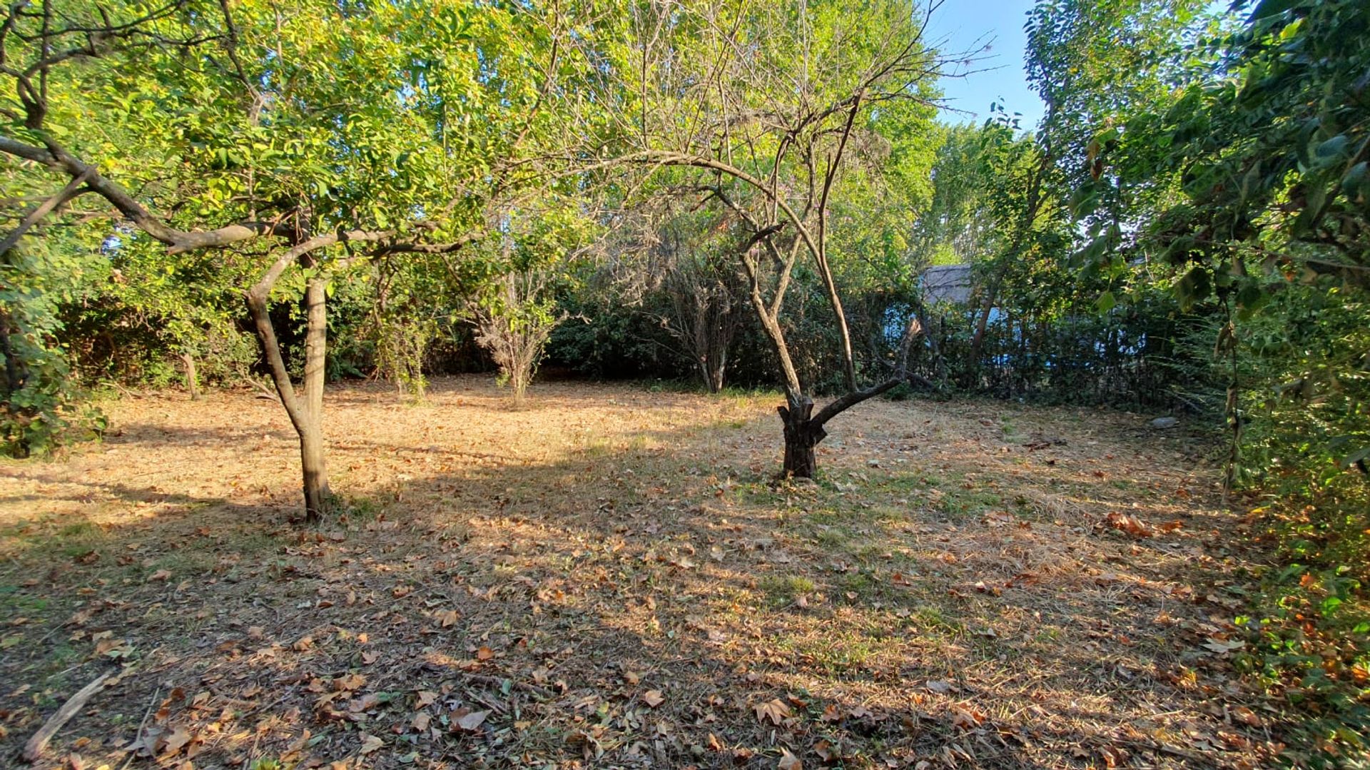 Terreno — foto 1