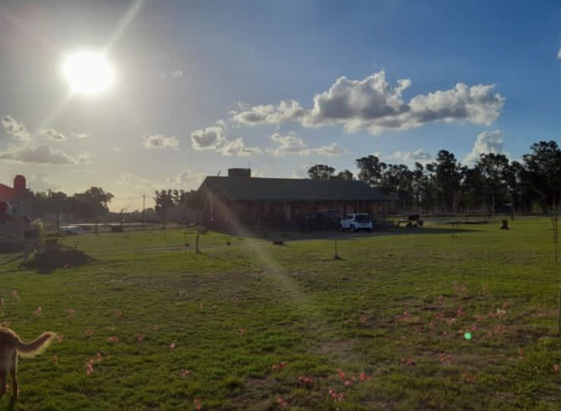 VENTA DE QUINTA ESTILO CAMPO EN SAN VICENTE - 19