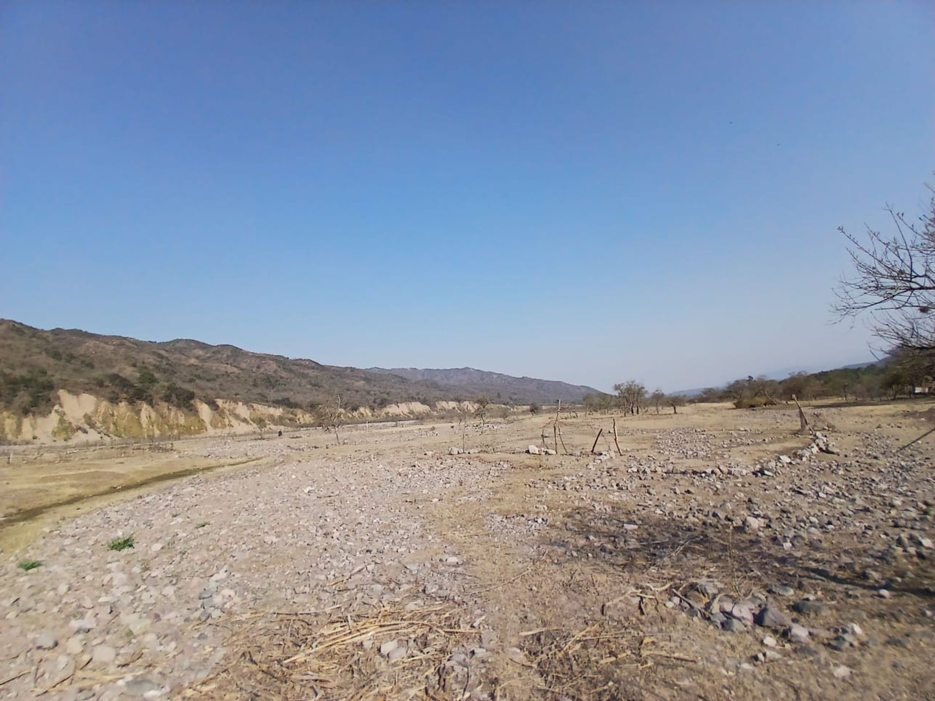 VENTA DE TERRENO 1 HECTAREA EN LOZANO - 6