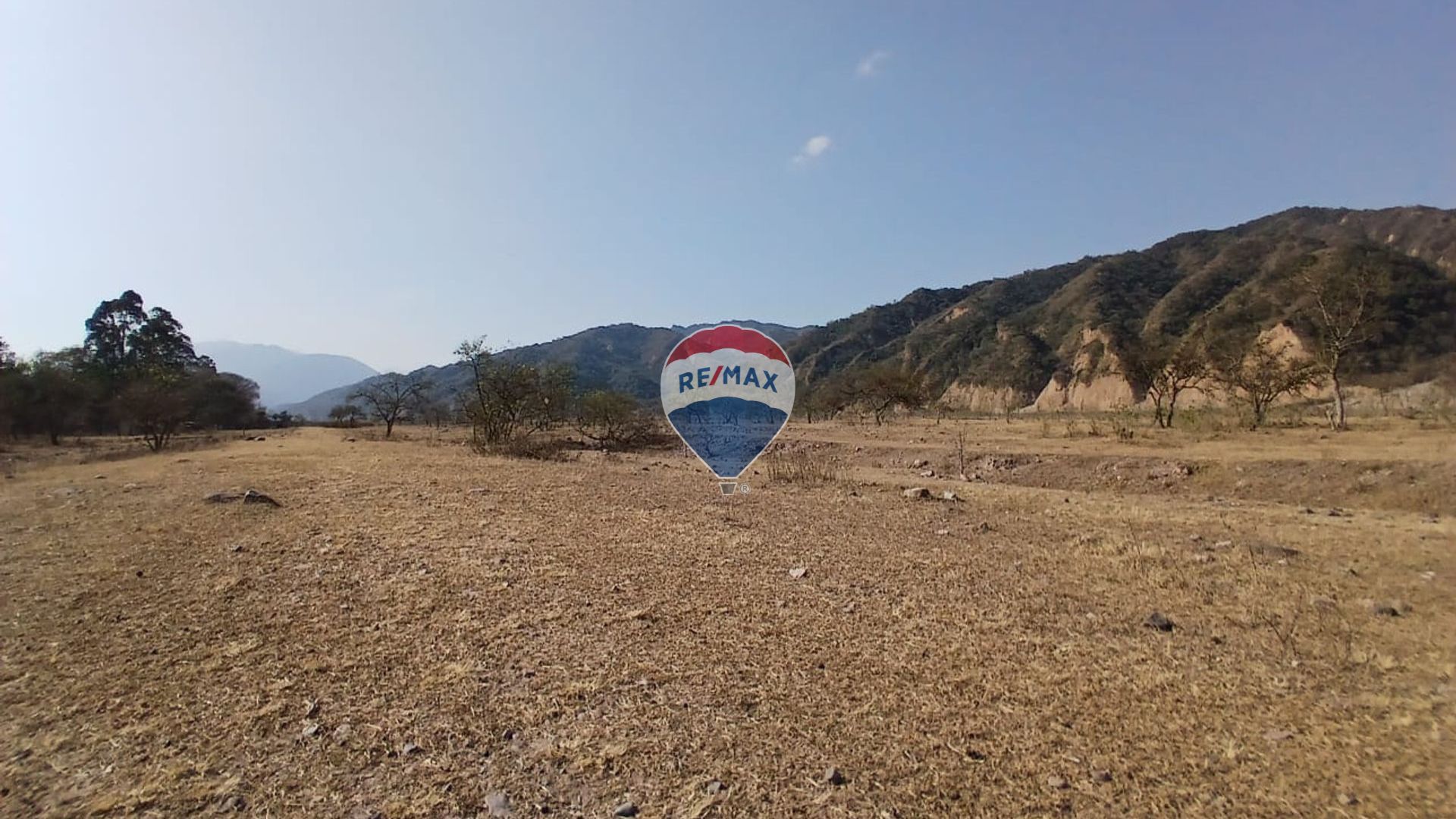 VENTA DE TERRENO 1 HECTAREA EN LOZANO - 1
