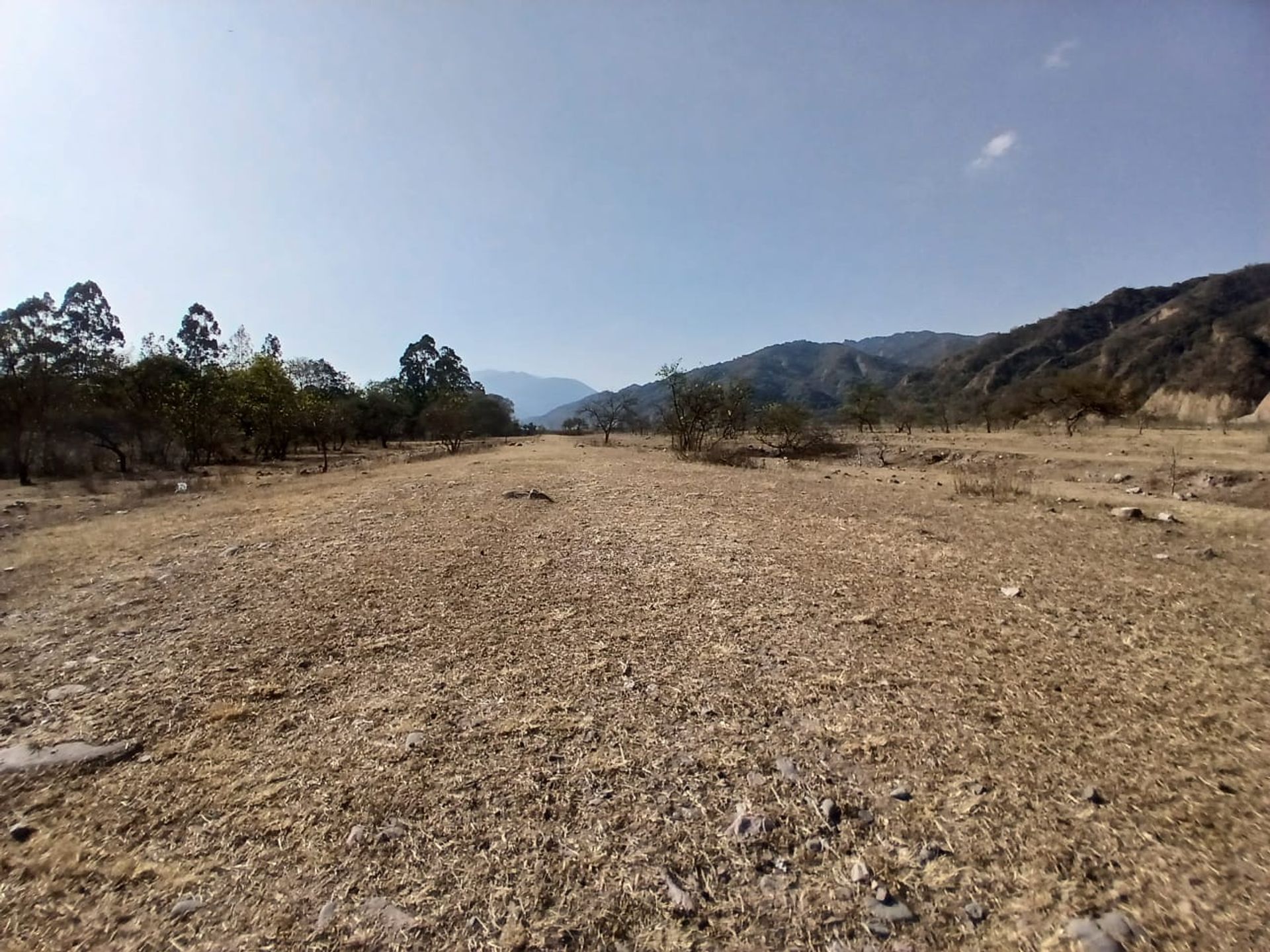 VENTA DE TERRENO 1 HECTAREA EN LOZANO - 4