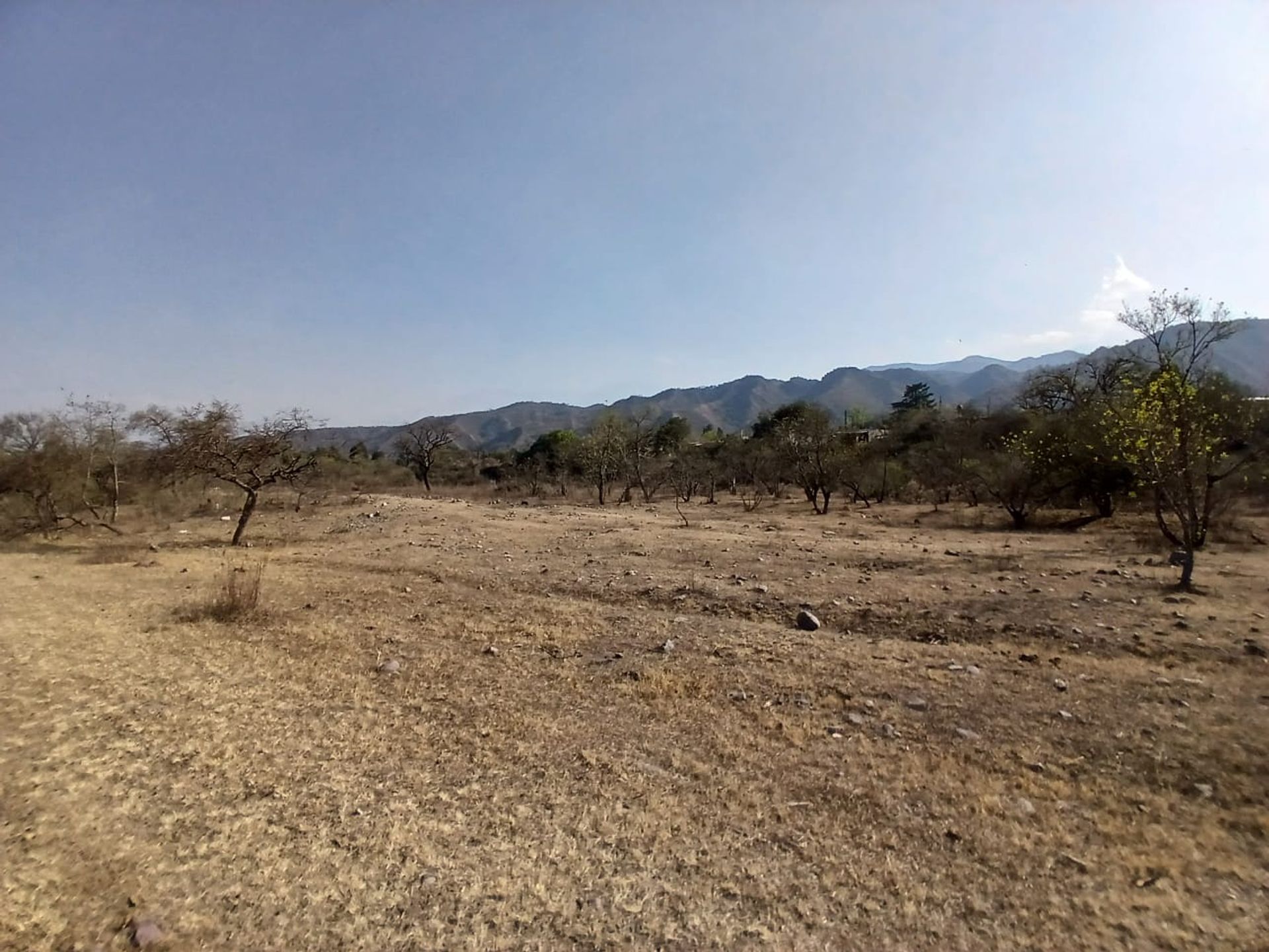 VENTA DE TERRENO 1 HECTAREA EN LOZANO - 2