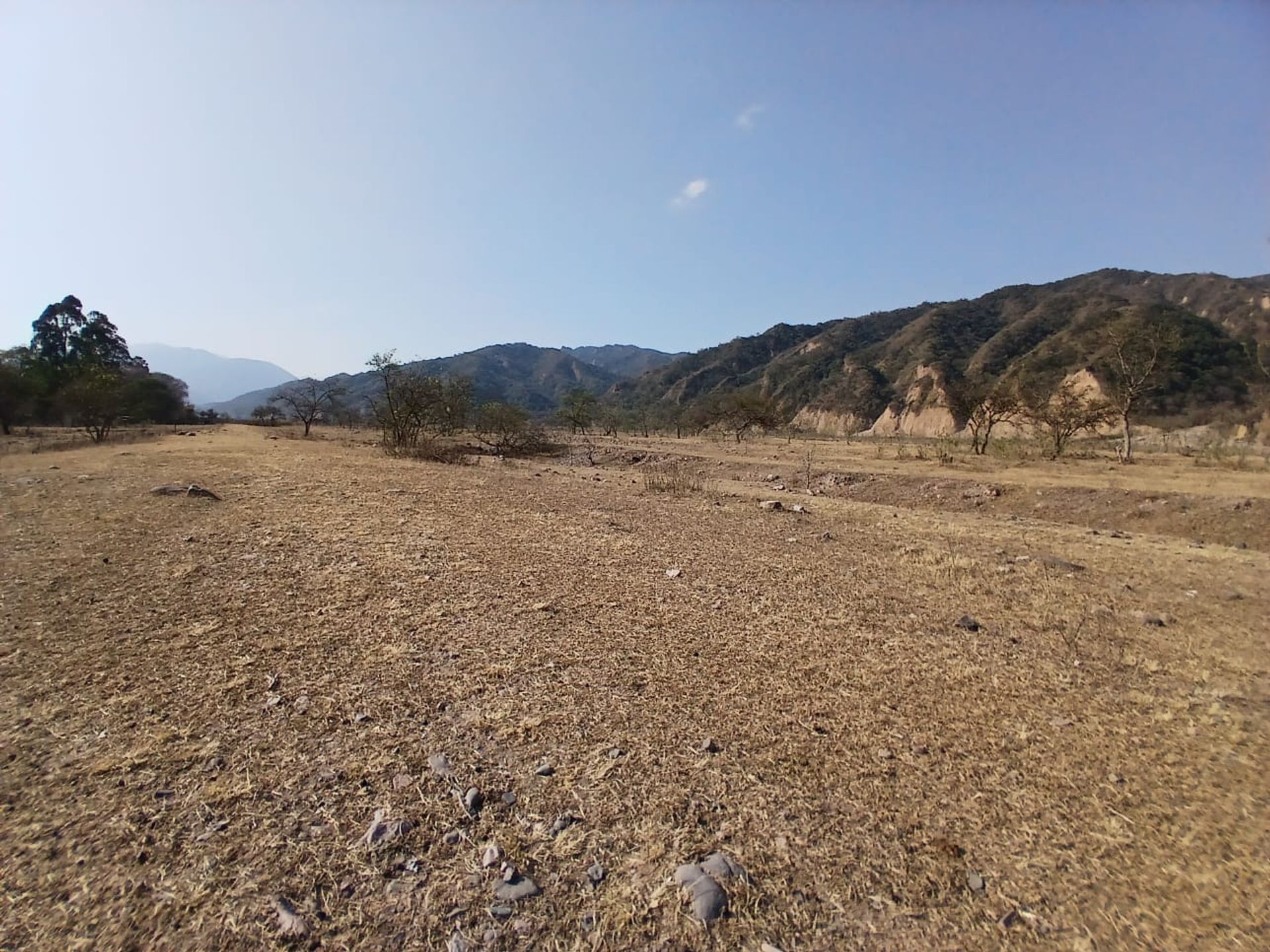 VENTA DE TERRENO 1 HECTAREA EN LOZANO - 5