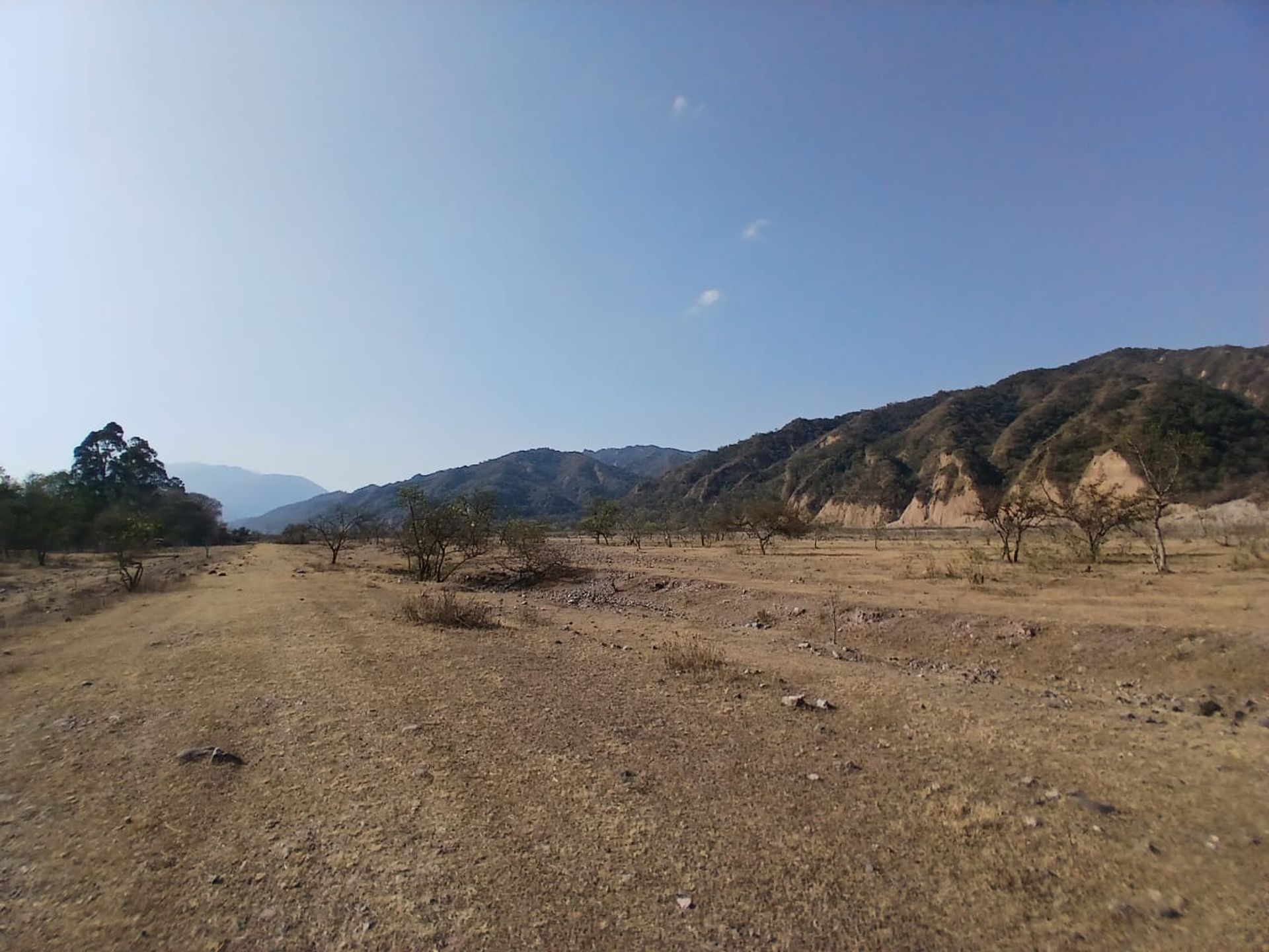 VENTA DE TERRENO 1 HECTAREA EN LOZANO - 7