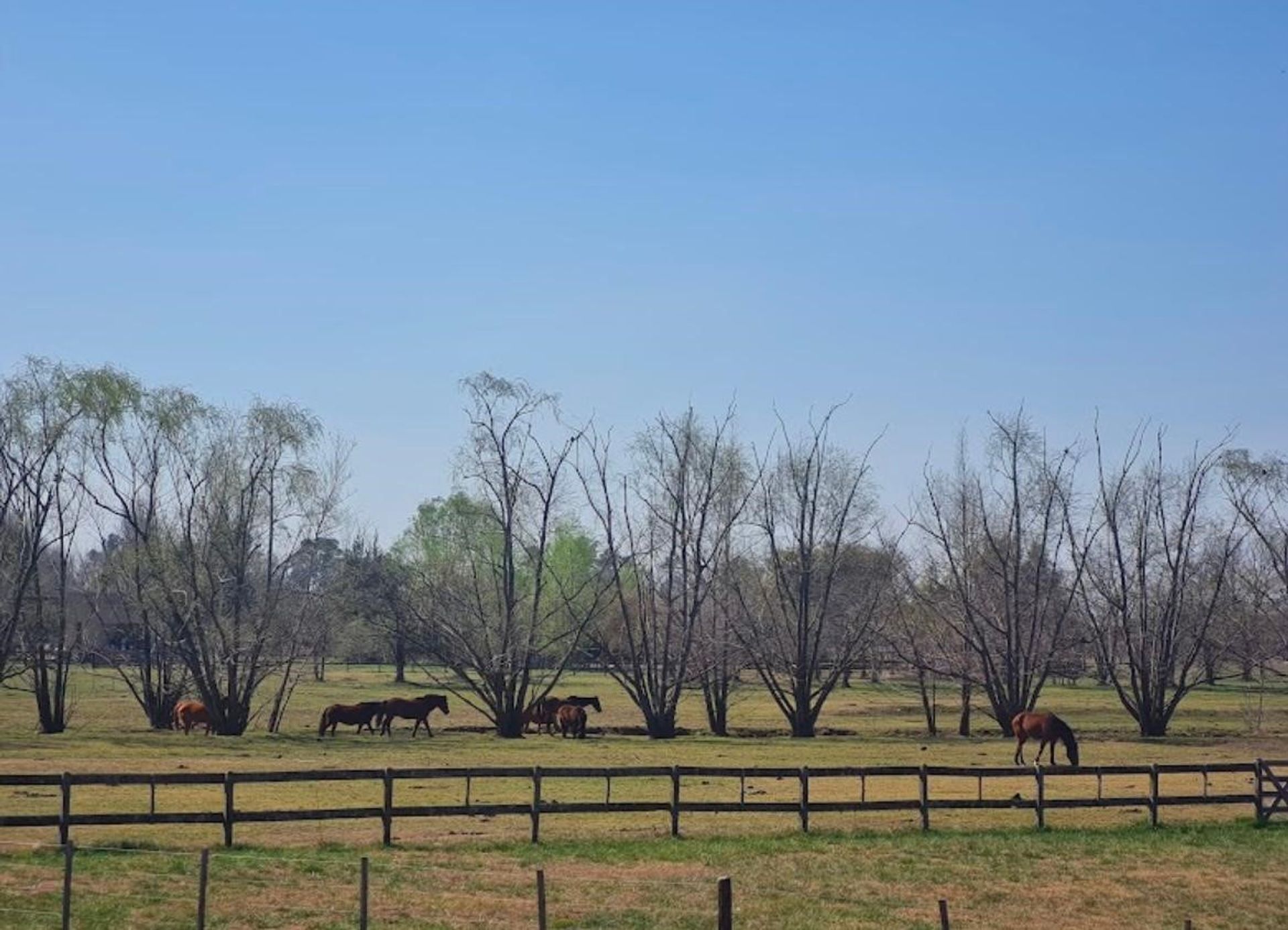 CHACRA EN VENTA EN HARAS EL MALACATE CLUB DE CAMPO - 4