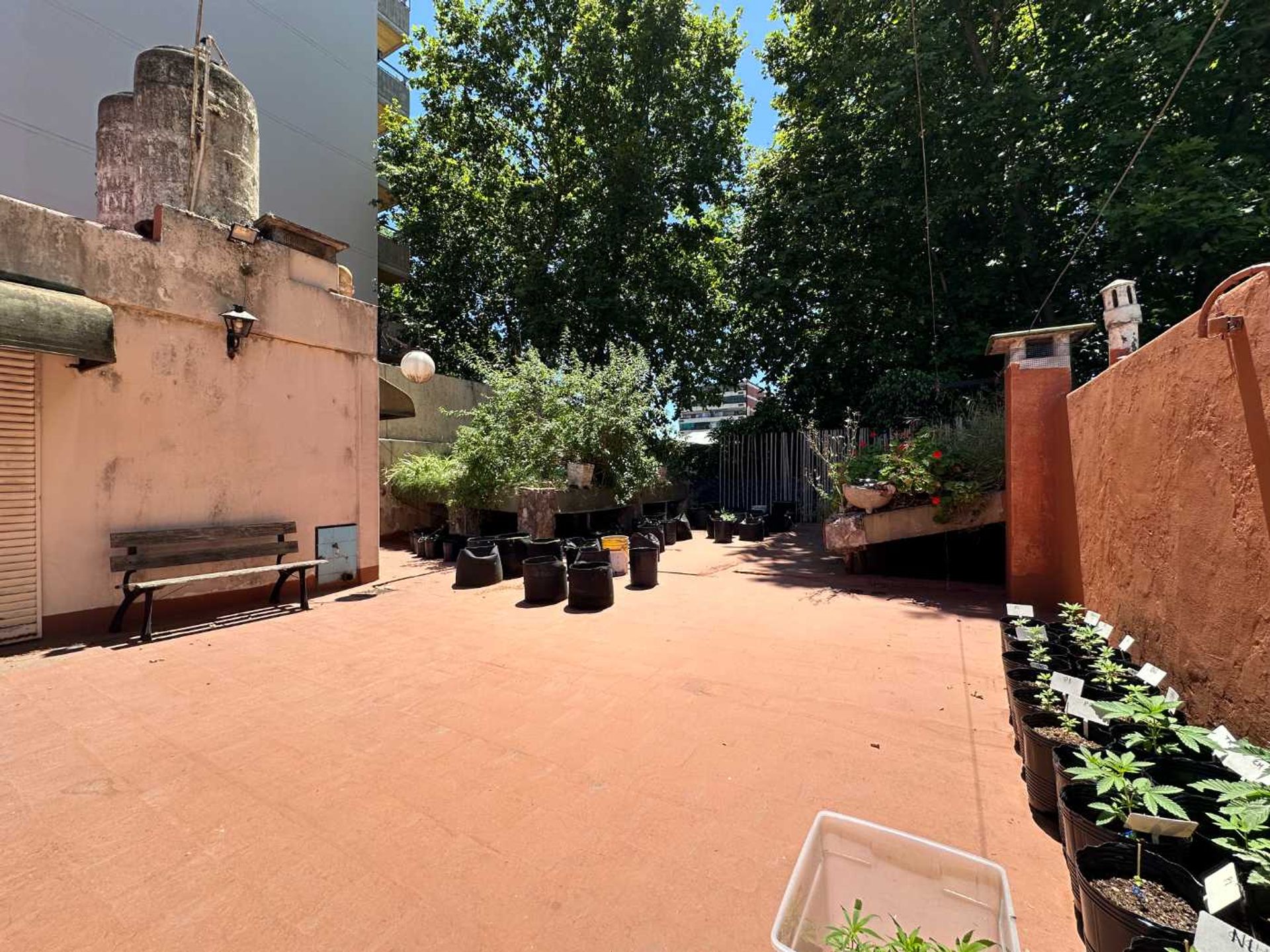 Venta PH 3 ambientes con terraza Villa del Parque - 10