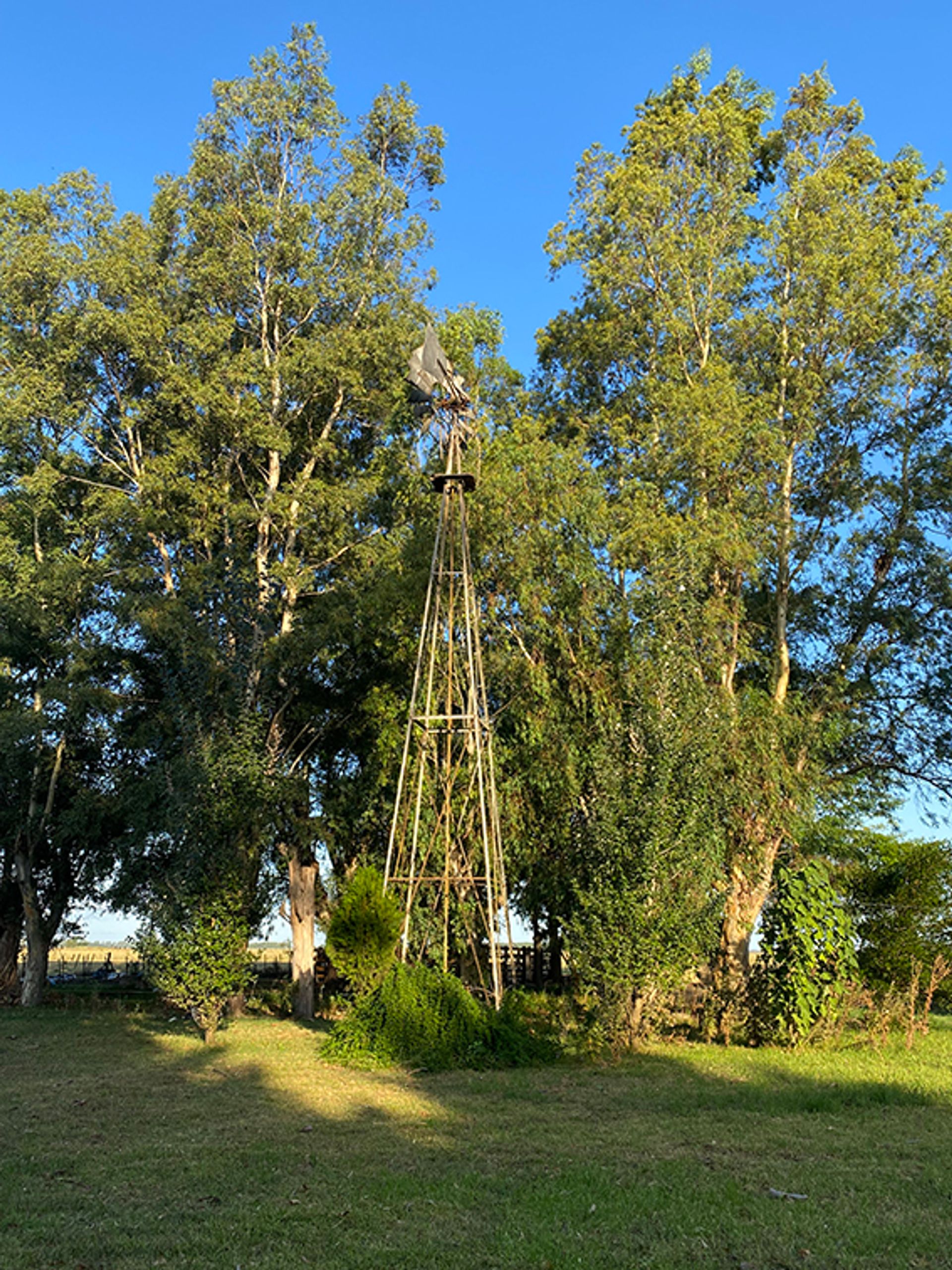 Venta Fracci&oacute;n 9 hectareas, Ruta 3 km 86, Ca&ntilde;uelas - 20