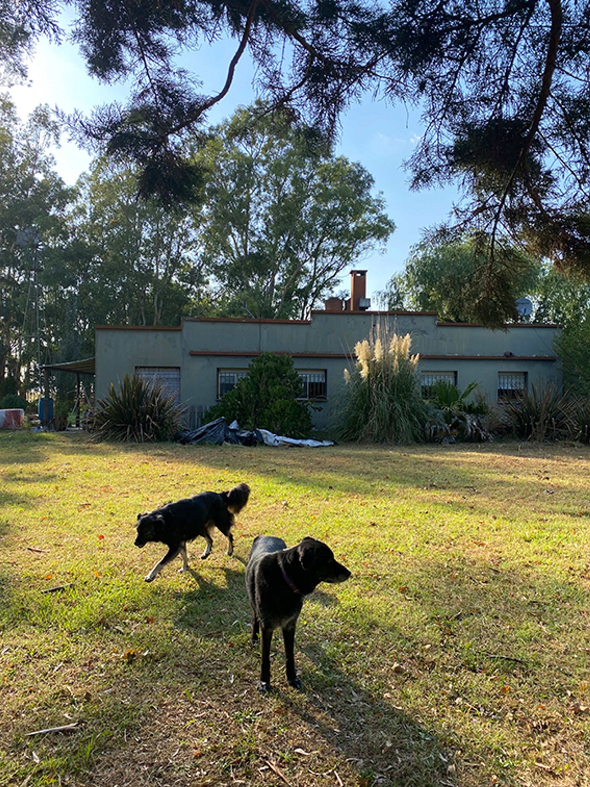 Venta Fracci&oacute;n 9 hectareas, Ruta 3 km 86, Ca&ntilde;uelas - 17