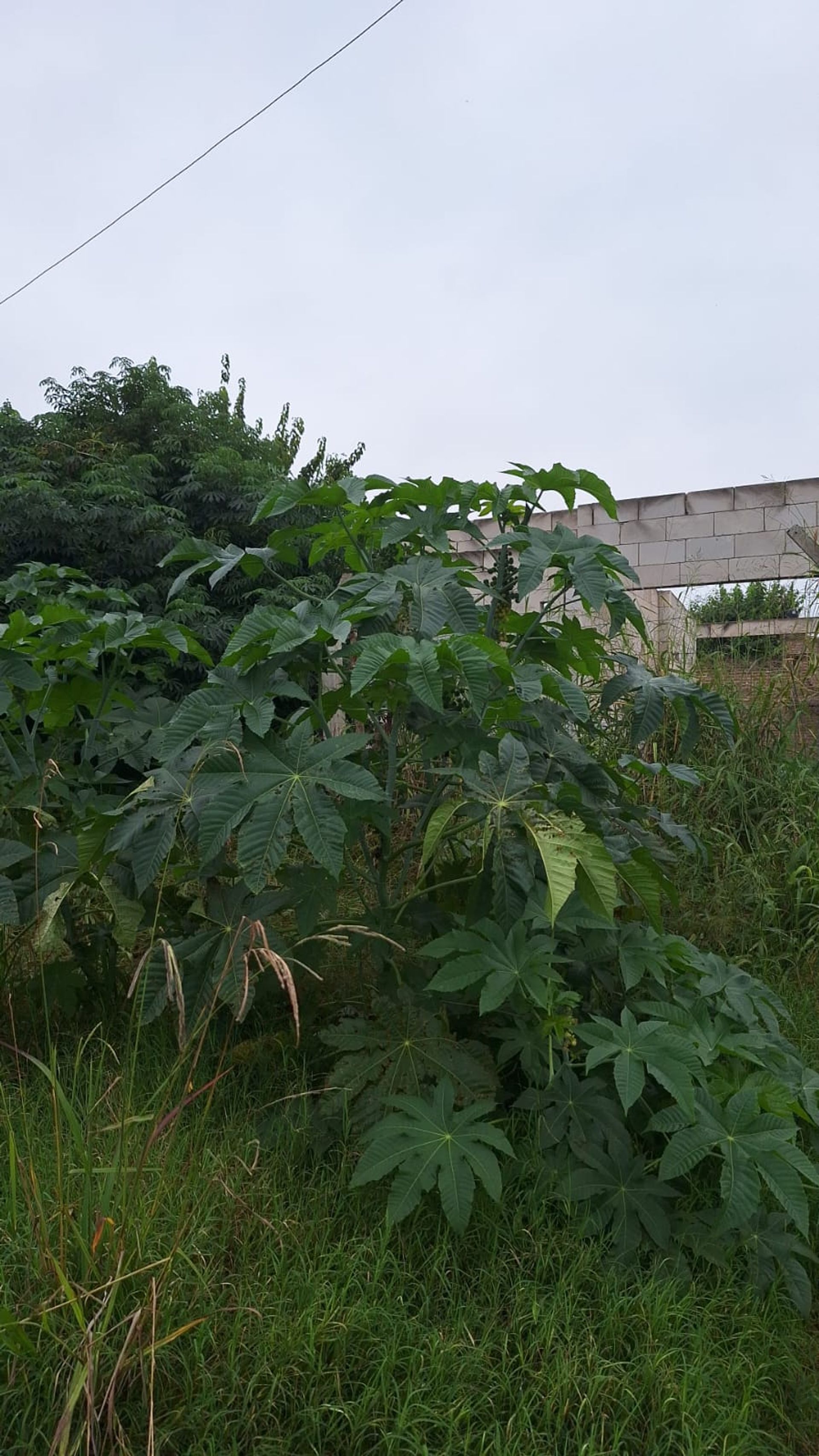 TERRENO CON CONSTRUCCION Y PLANOS - 3