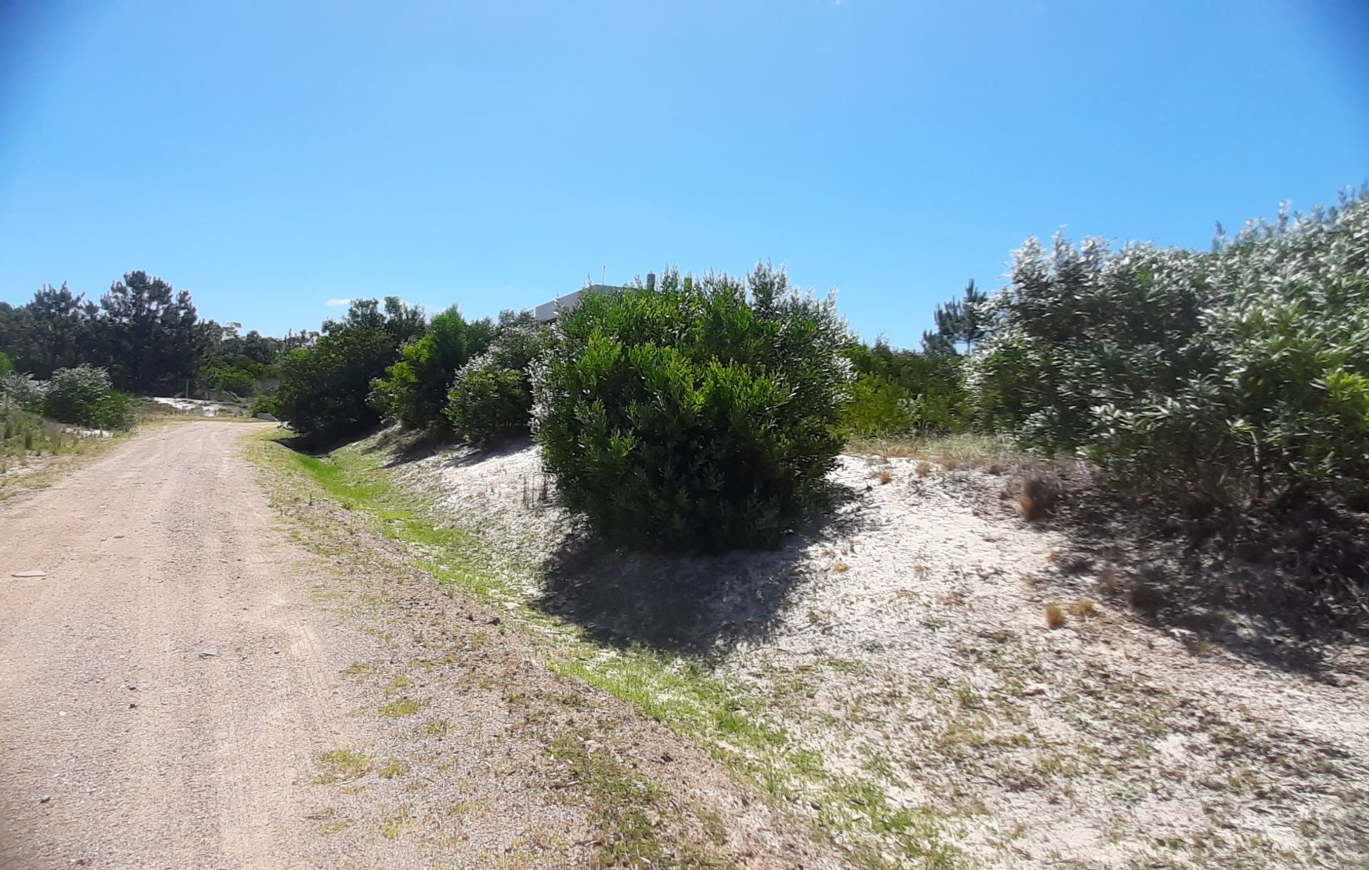VENTA LOTE12EN COMPLEJO PRIVADO JAUREGUIBERRY SUR - 2