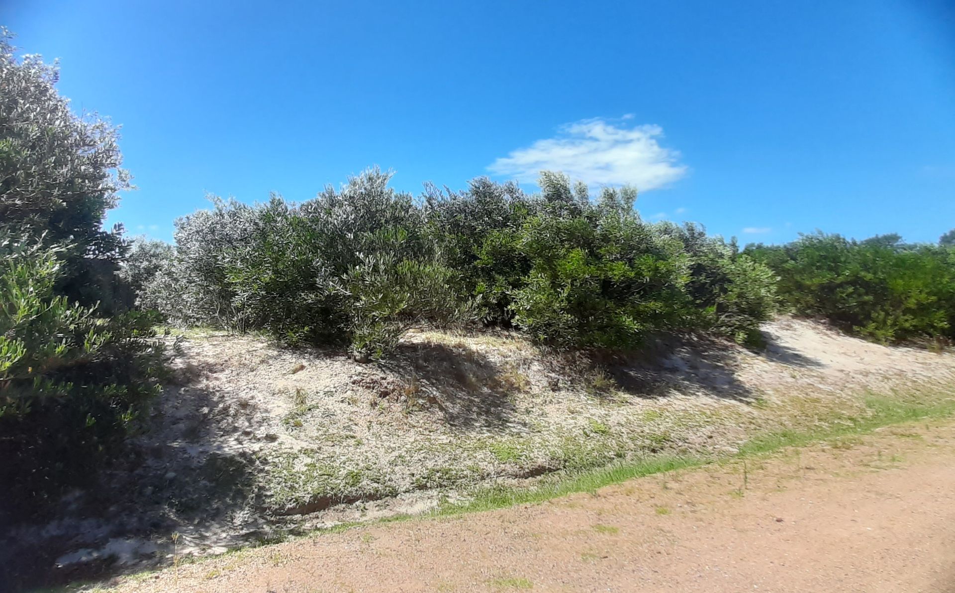 VENTA LOTE12EN COMPLEJO PRIVADO JAUREGUIBERRY SUR - 3