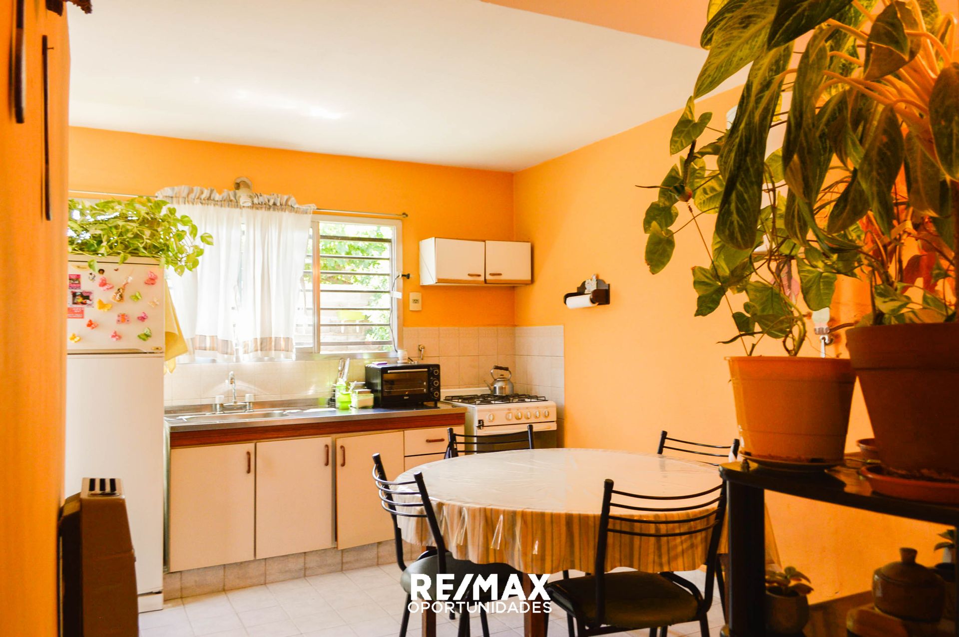 Casa 3 dormitorios en venta Cipolletti - 8