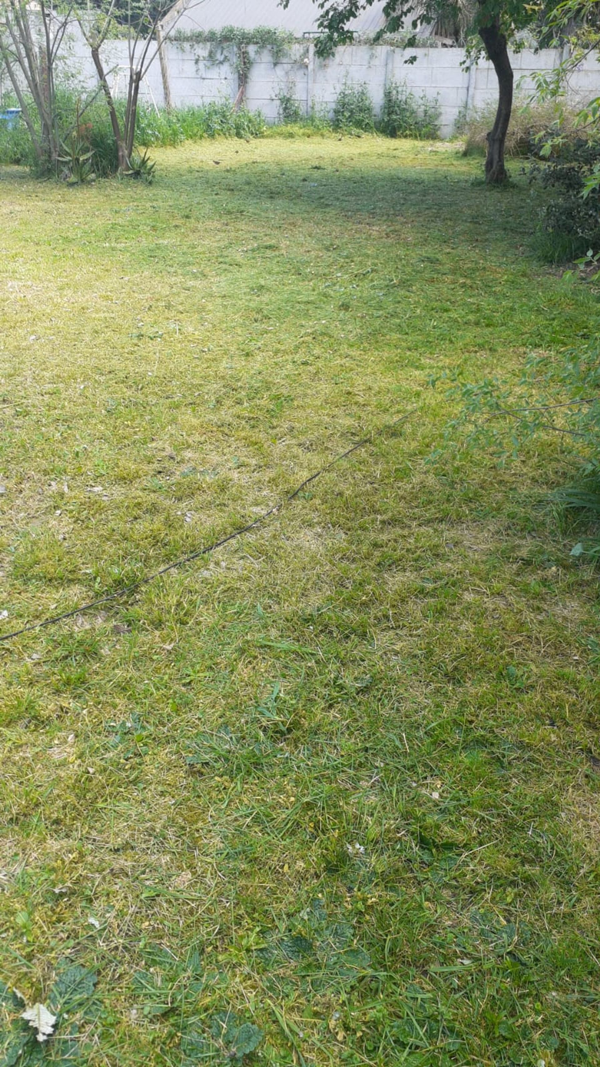 Terreno — foto 3