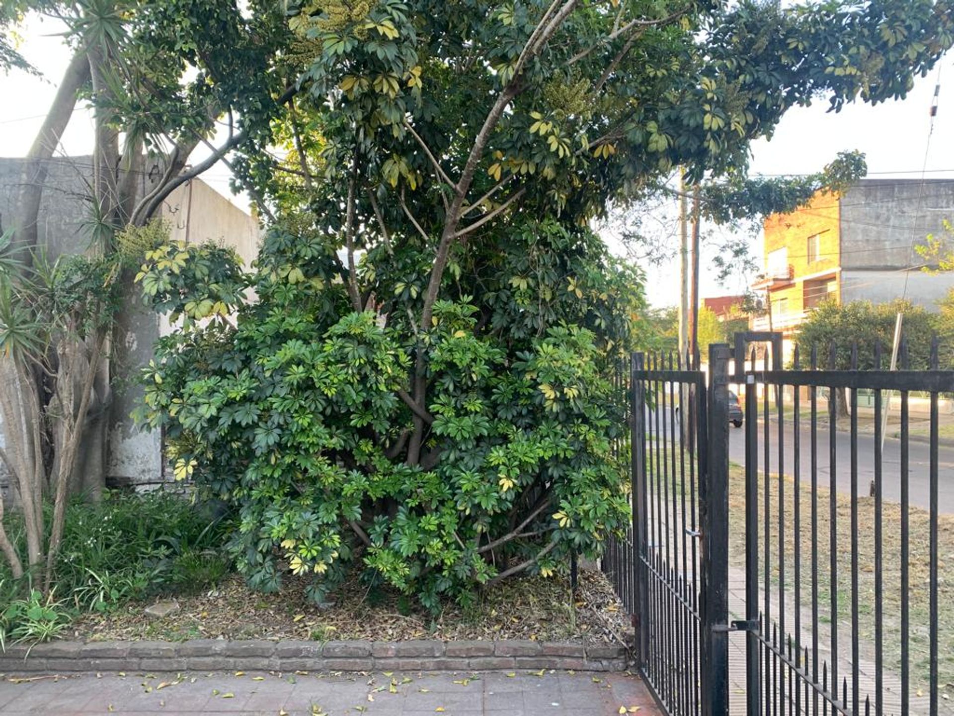 VENTA CASA CON JARDIN A REFACCIONAR - 3