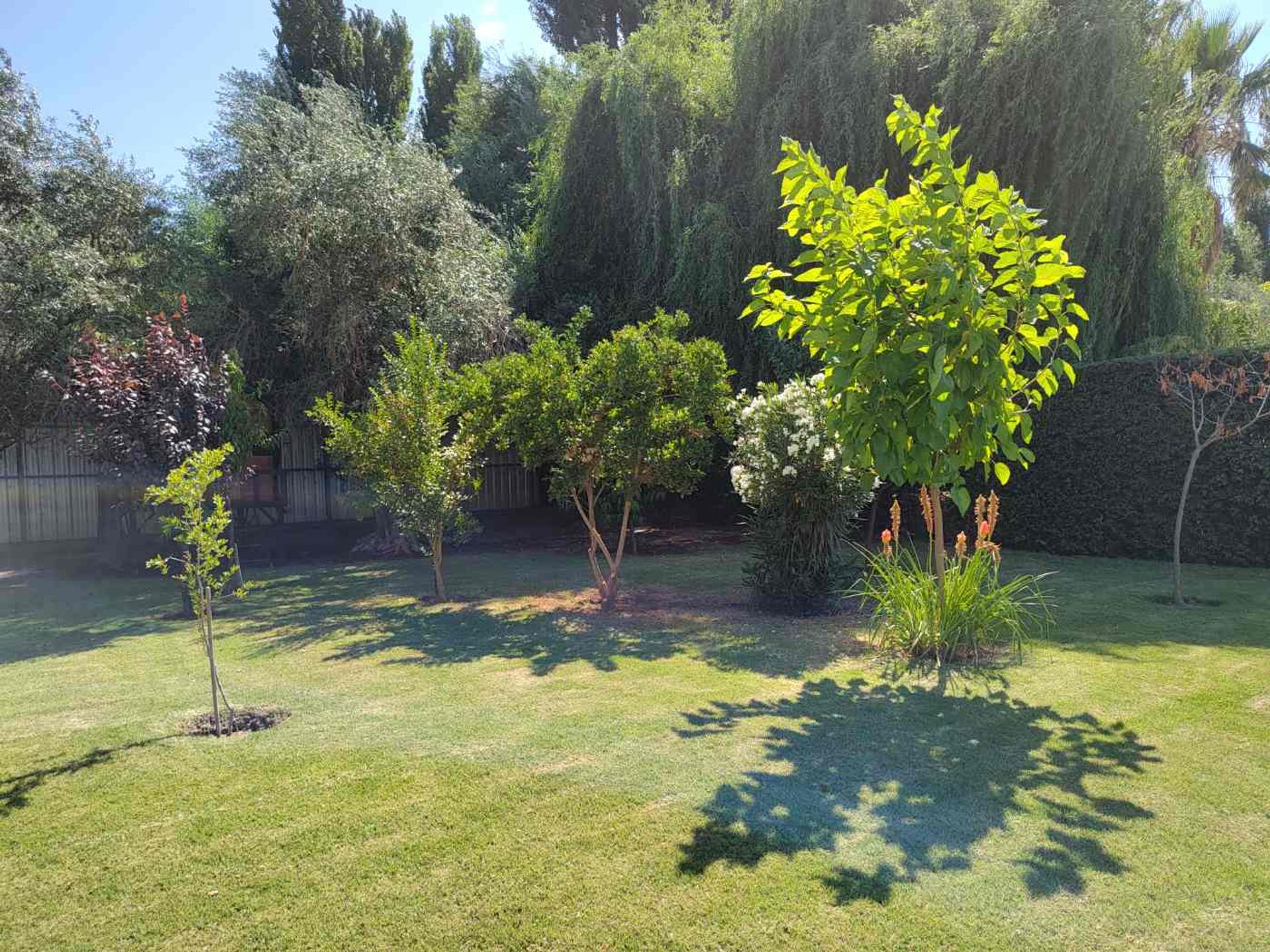 Casa Quinta en Venta en Maipu, Mendoza