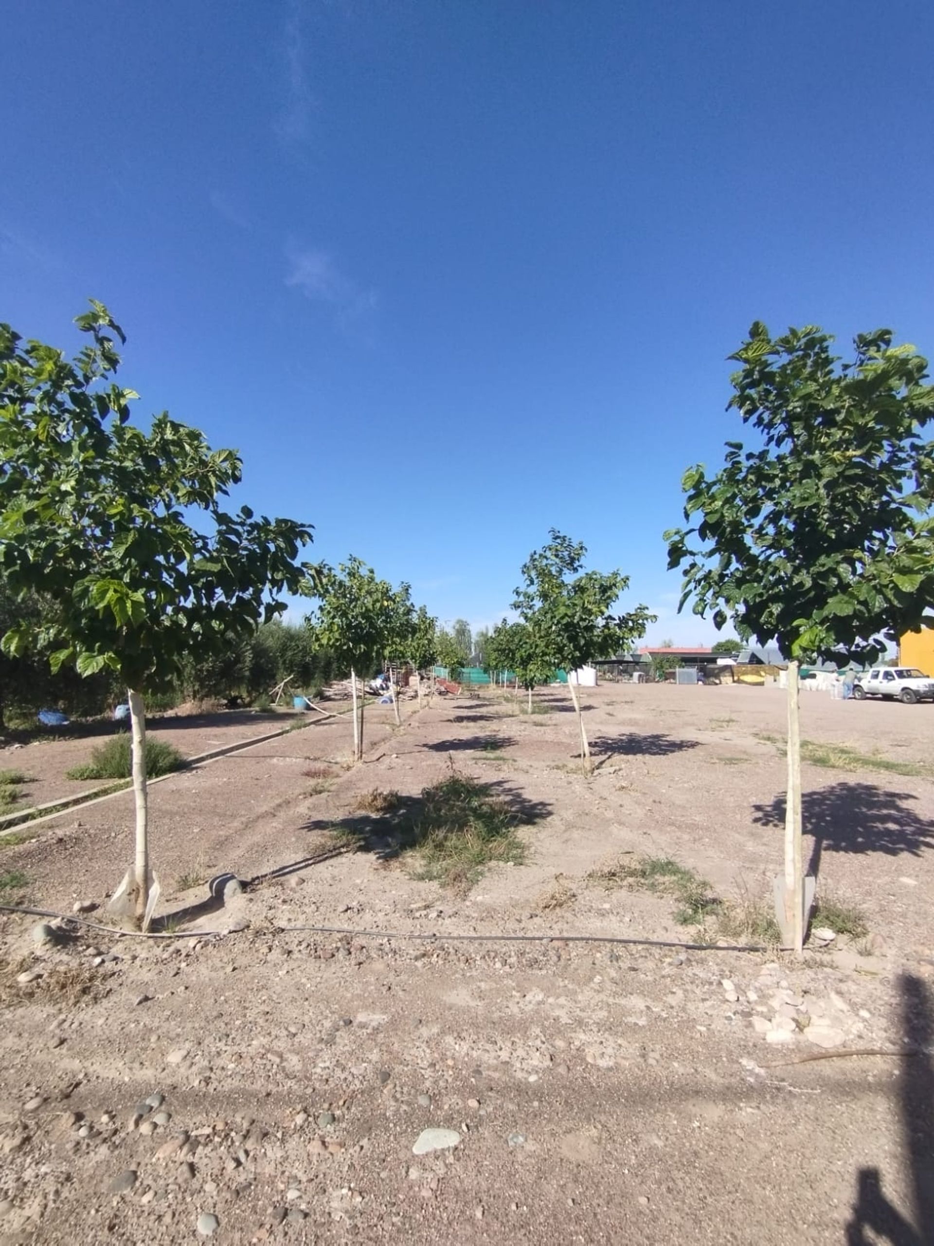 Galpon en Alquiler en Maipu, Mendoza
