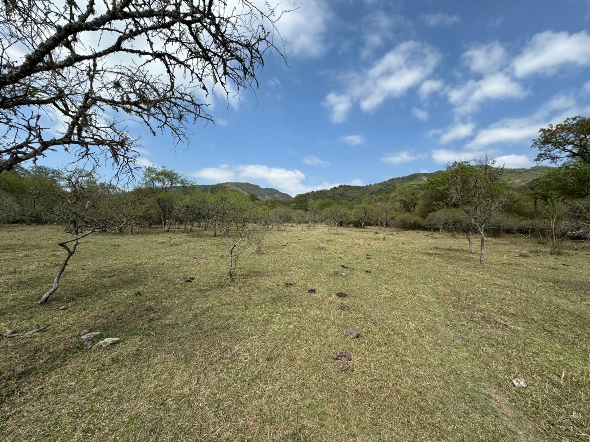 VENTA CAMPO DE 5 HAS - LA ALMONA - 10