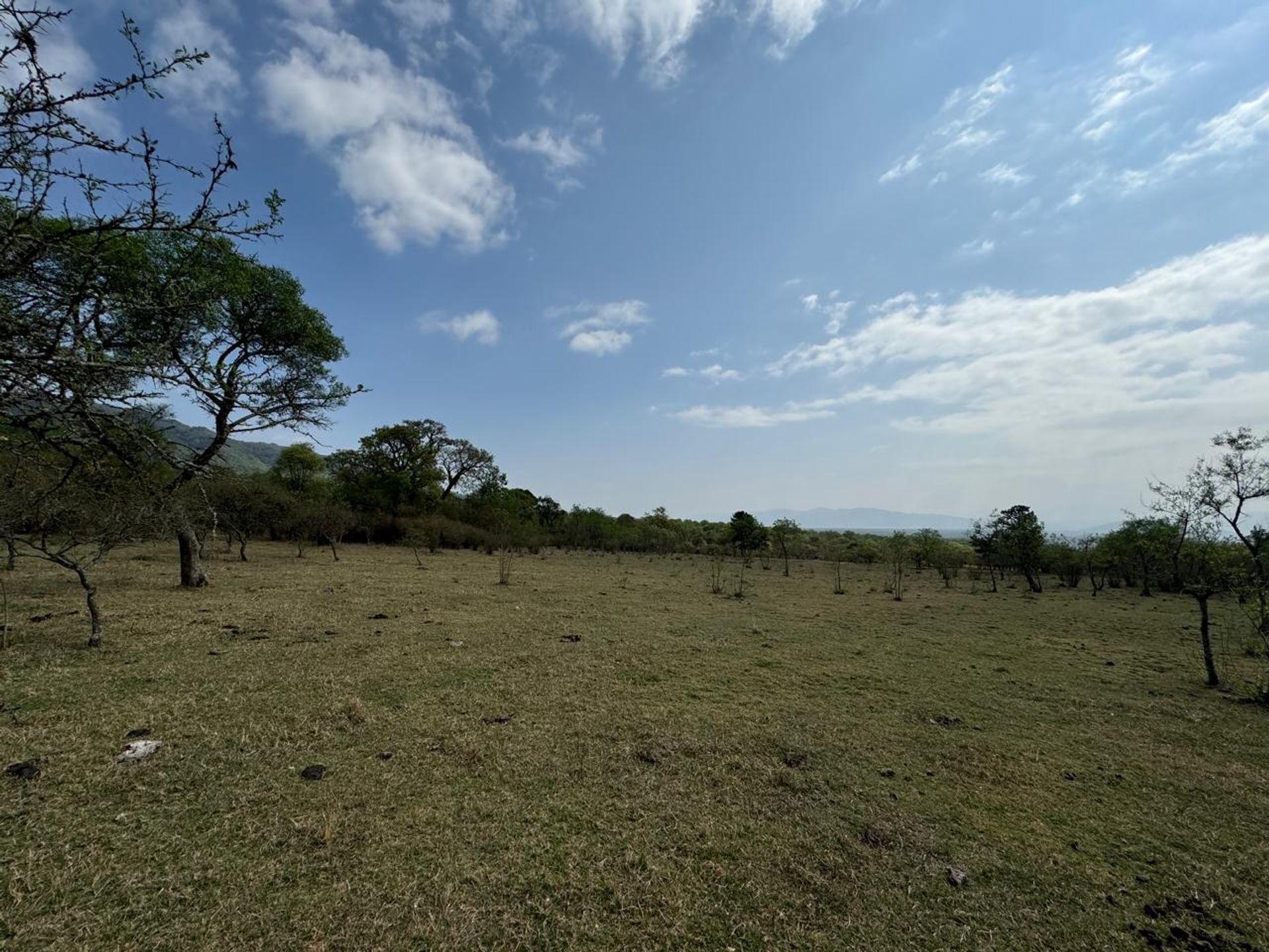 VENTA CAMPO DE 5 HAS - LA ALMONA - 11