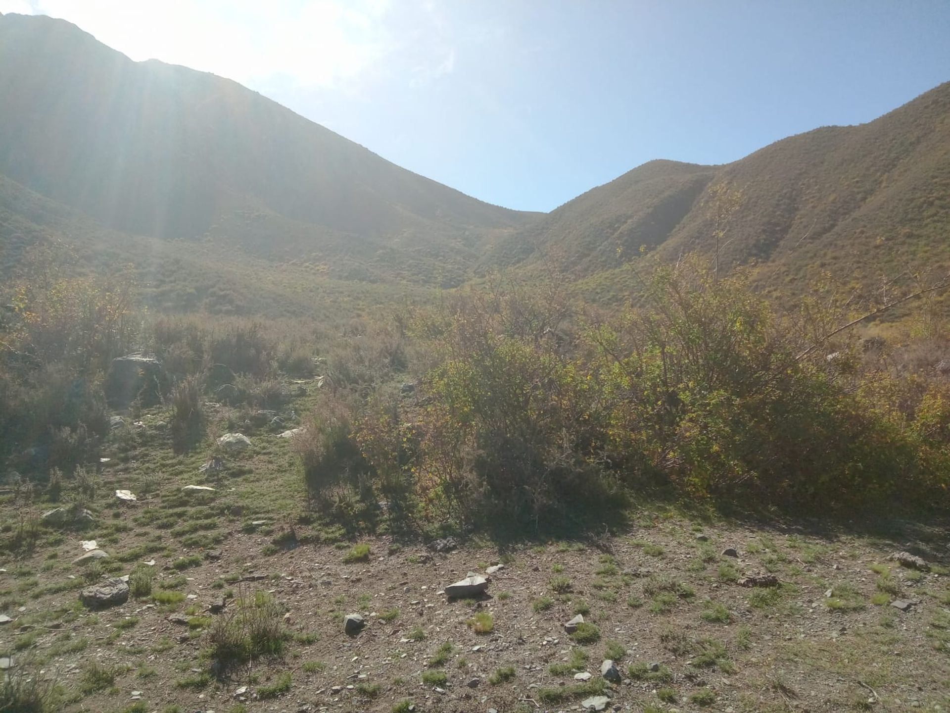 Lote en Venta en Lujan de Cuyo, Mendoza