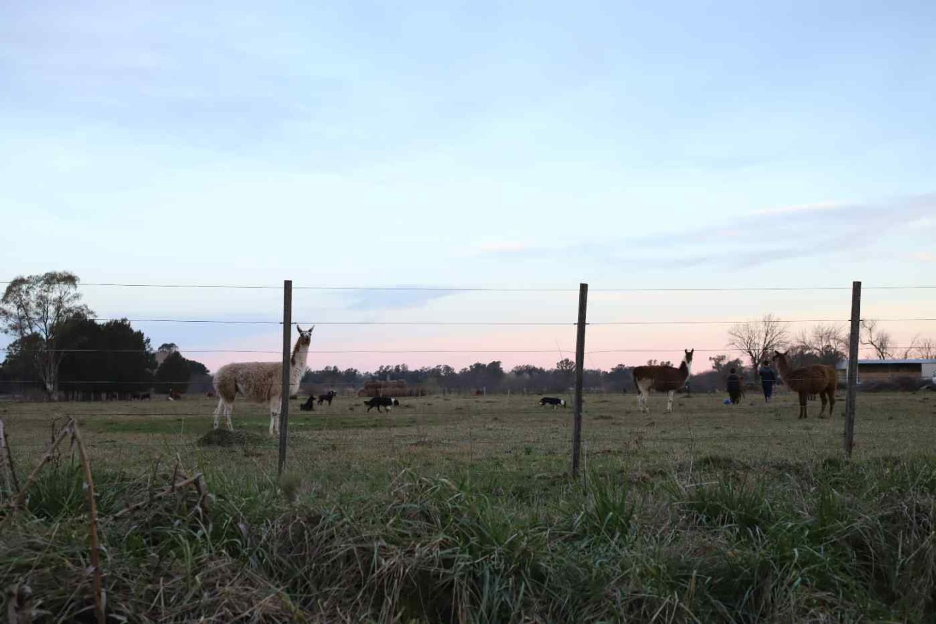 Lote en Venta en Exaltacion de la Cruz, G.B.A. Zona Norte