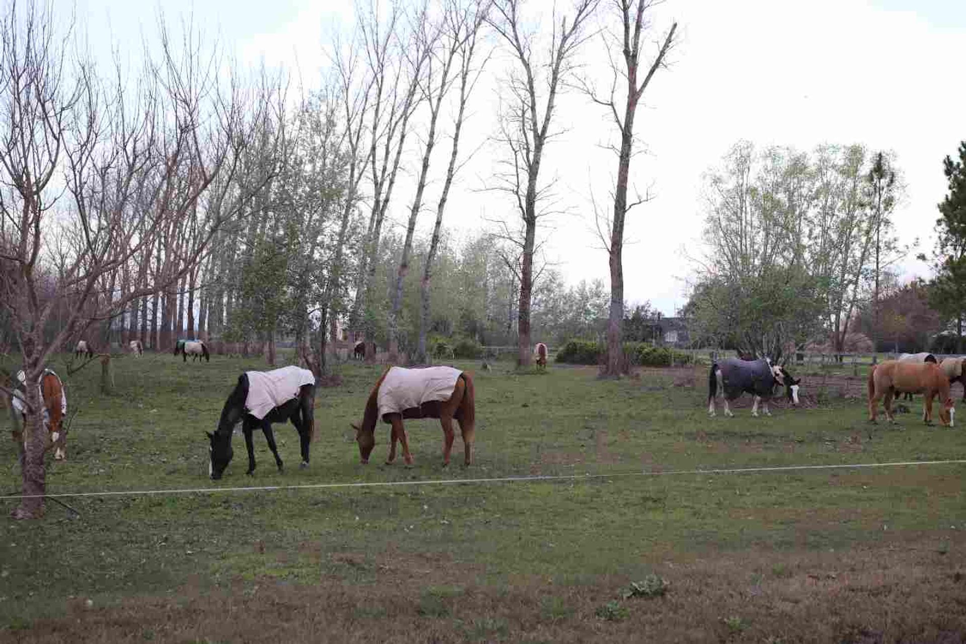 Lote en Venta en Exaltacion de la Cruz, G.B.A. Zona Norte