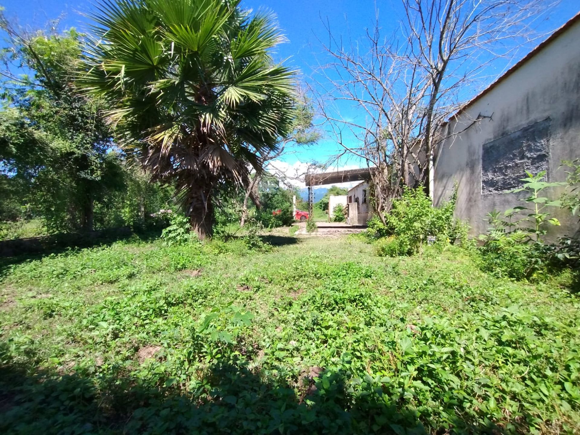 VENTA CASA 3 DORMITORIOS + SUM 511m2 - SAN ANTONIO - 6