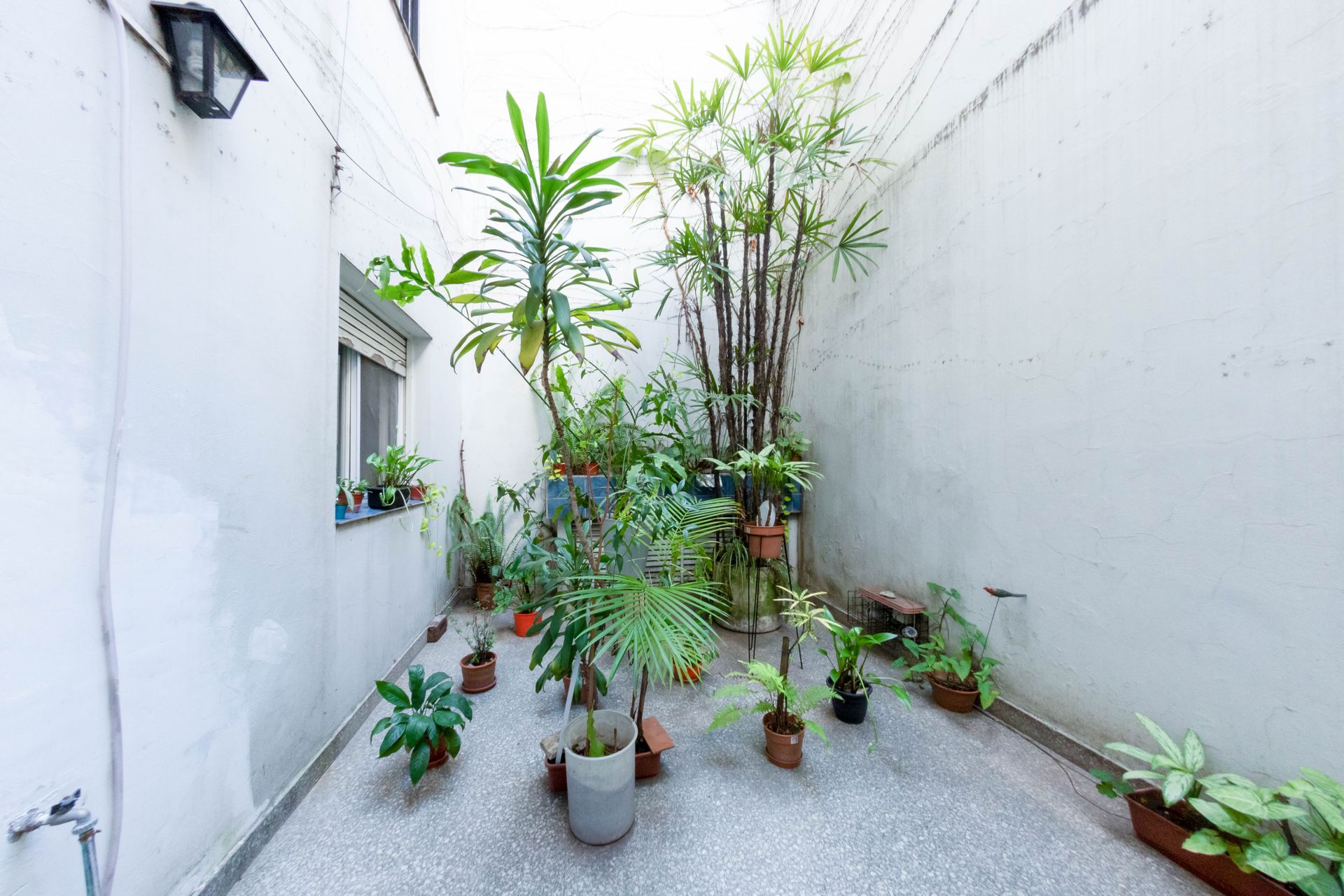 Venta Departamento 3 ambientes patio en Recoleta - 4