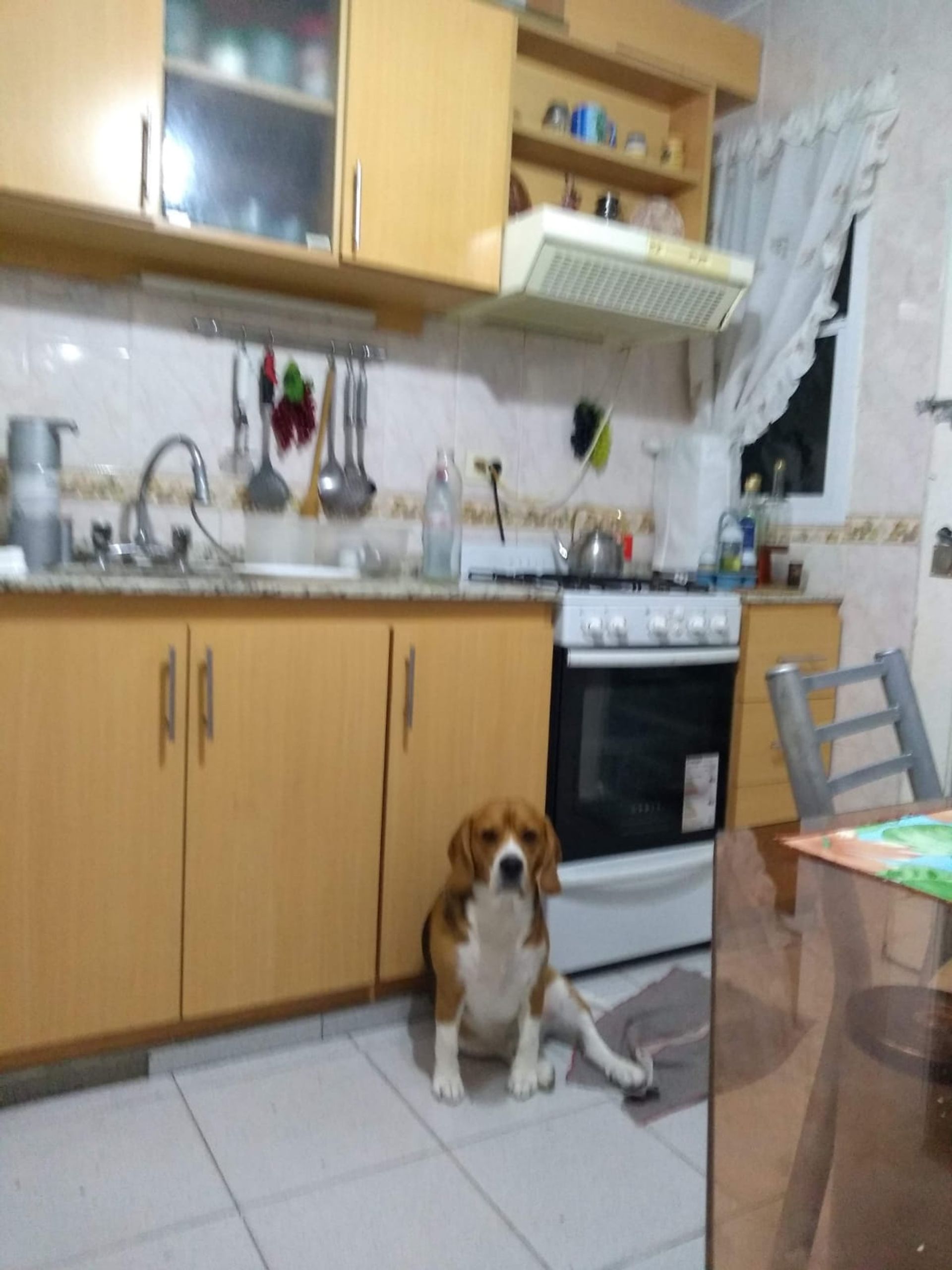 CASA 4 AMBIENTES CON PATIOS Y LAVADERO - 6