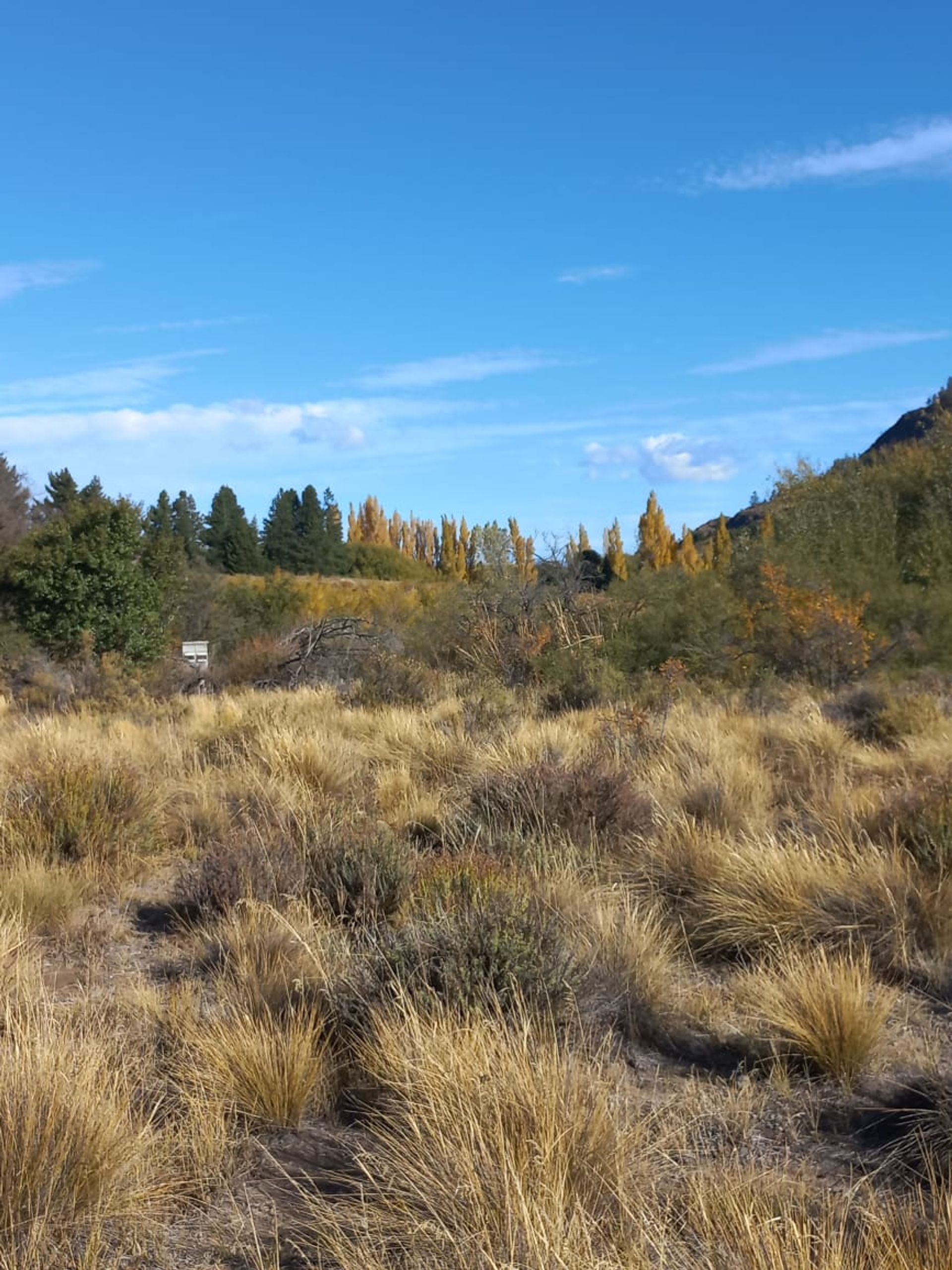 VENTA LOTE EXCELENTE VISTA BARRANCAS DE DINA HUAPI — foto 14