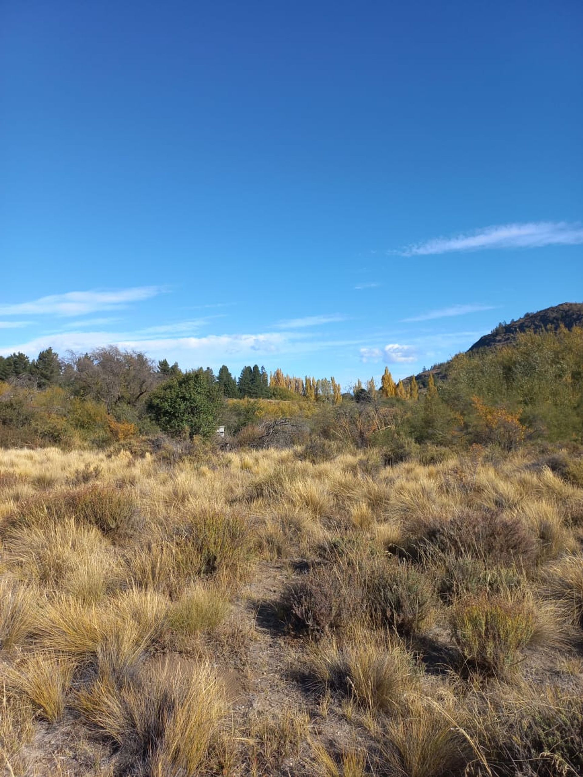 VENTA LOTE EXCELENTE VISTA BARRANCAS DE DINA HUAPI — foto 10