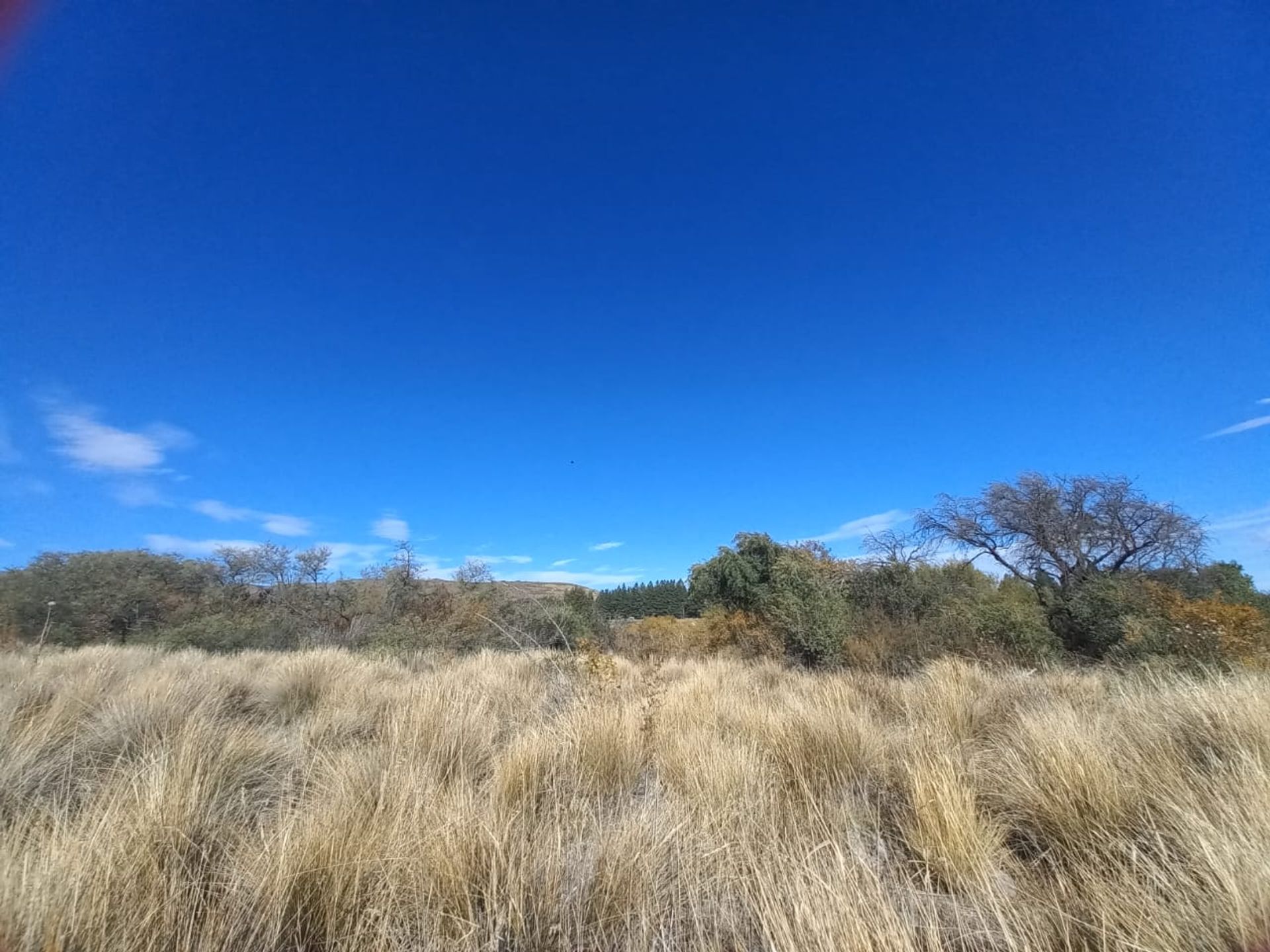 VENTA LOTE EXCELENTE VISTA BARRANCAS DE DINA HUAPI — foto 8