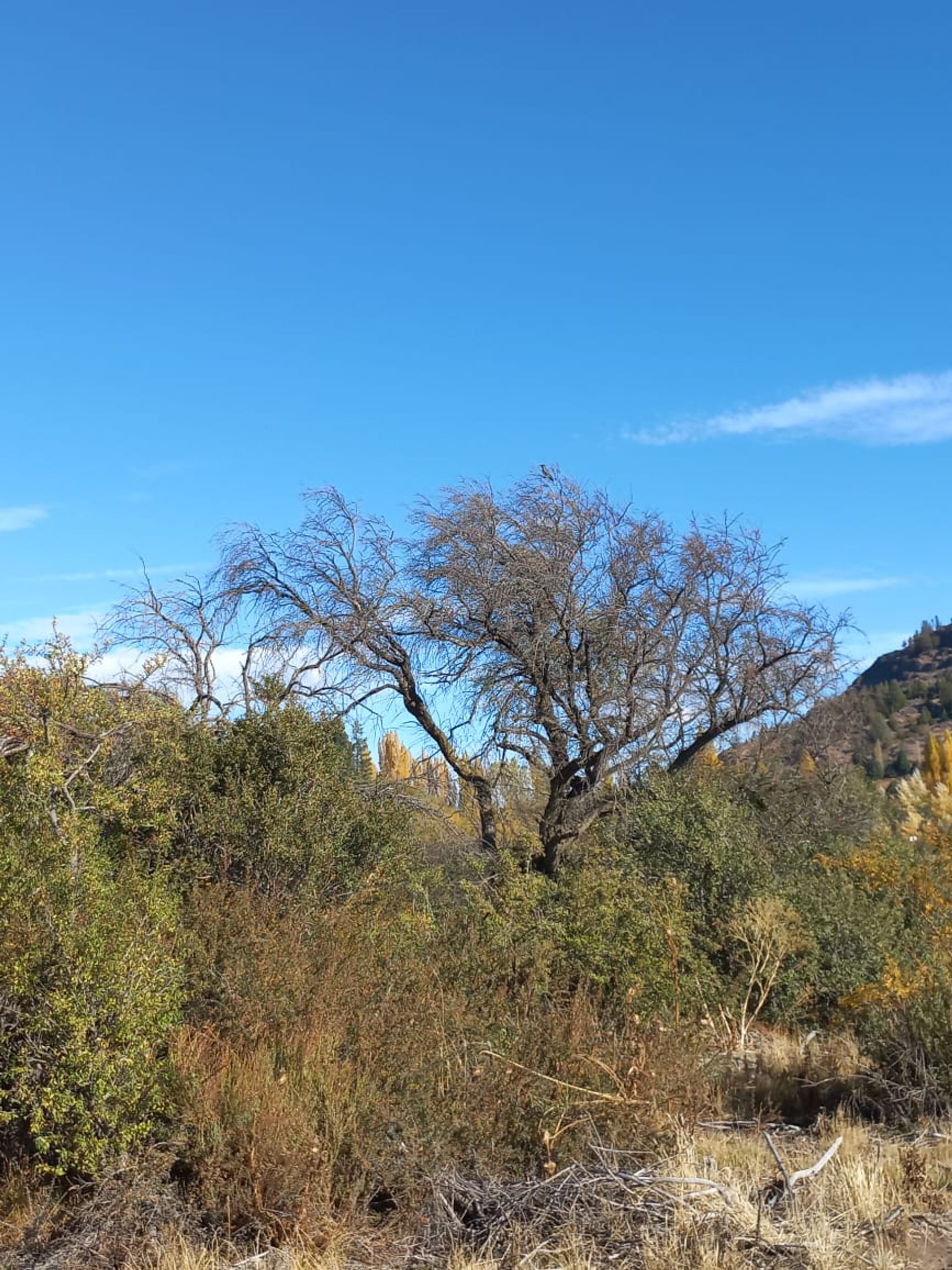 VENTA LOTE EXCELENTE VISTA BARRANCAS DE DINA HUAPI — foto 12