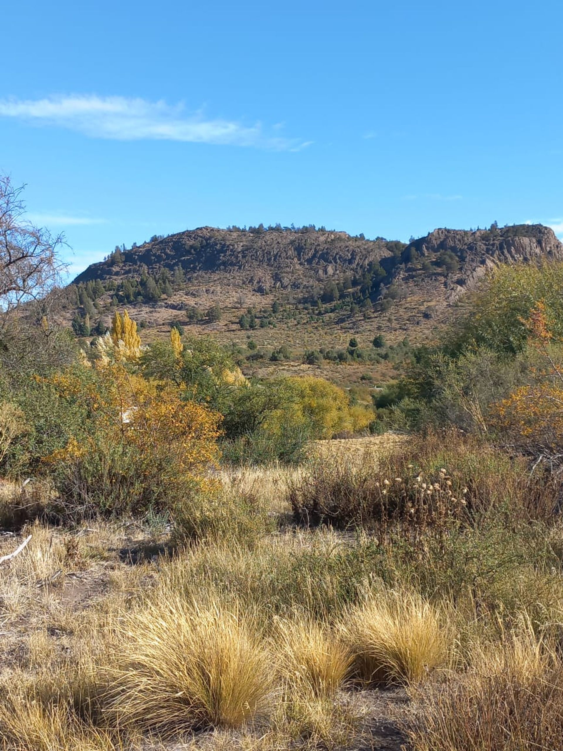 VENTA LOTE EXCELENTE VISTA BARRANCAS DE DINA HUAPI — foto 13