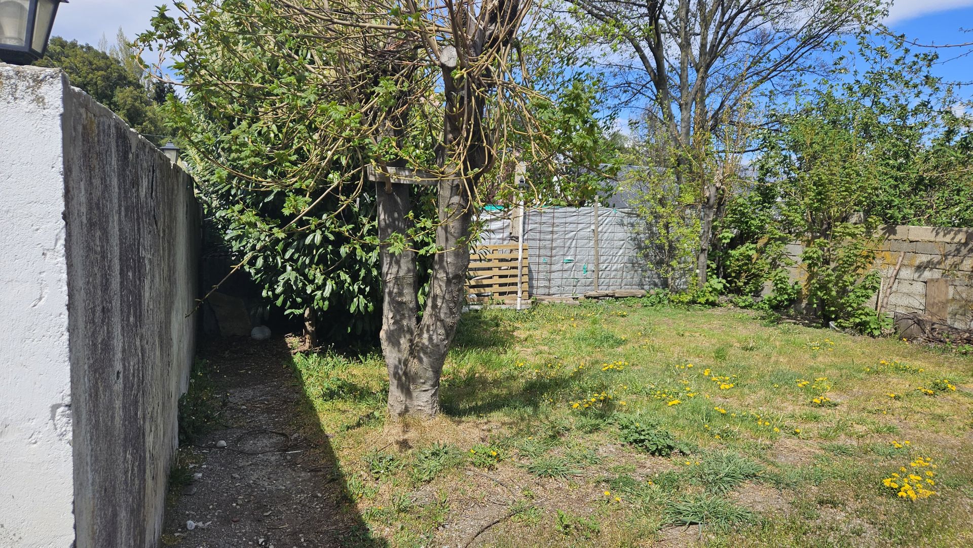 Venta lote 1000m2 para desarrollo - 20 x 50 — foto 6